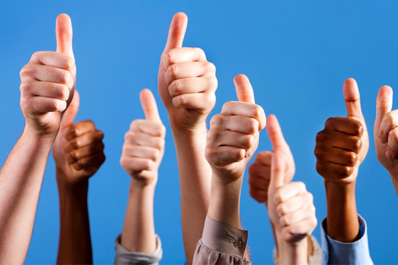 People give AAA insurance a thumbs up