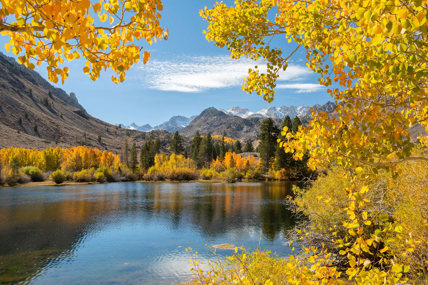Fall color reflects on water in California's Eastern Sierra.