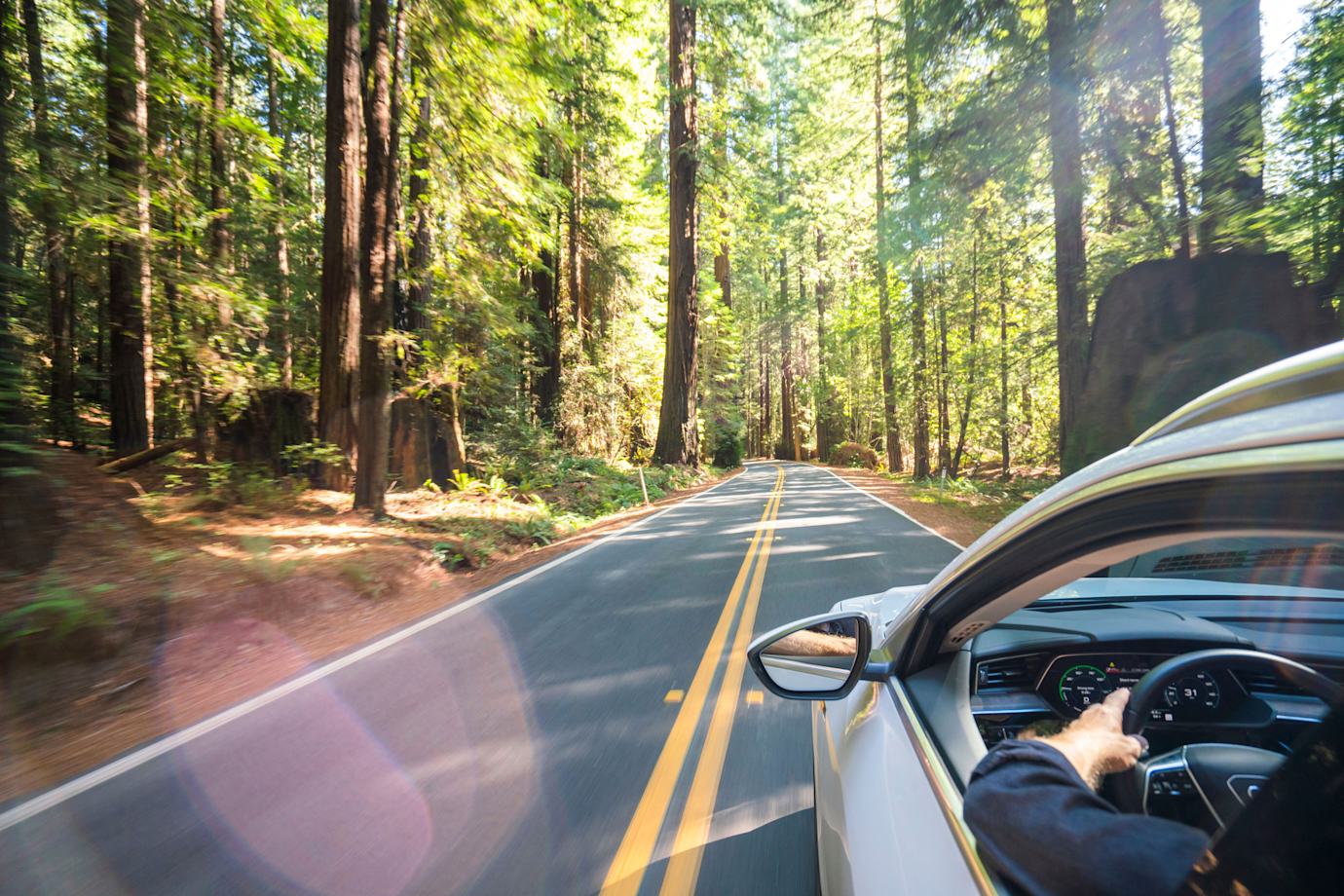 An EV drives down the Avenue of the Giants in California.