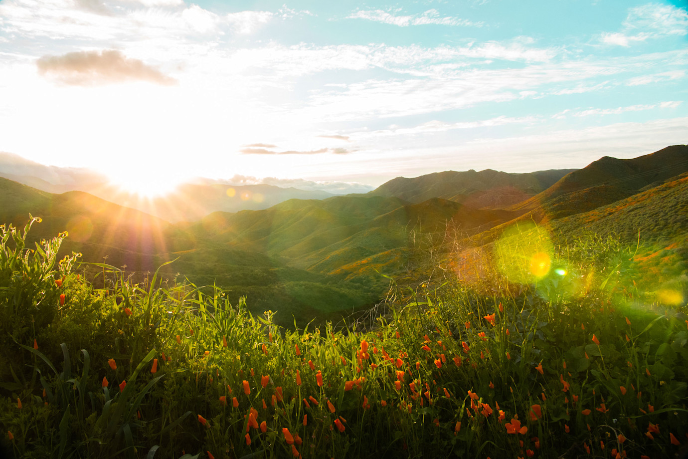 California's Lake Elsinore Hills is green and vibrant during wildflower season.