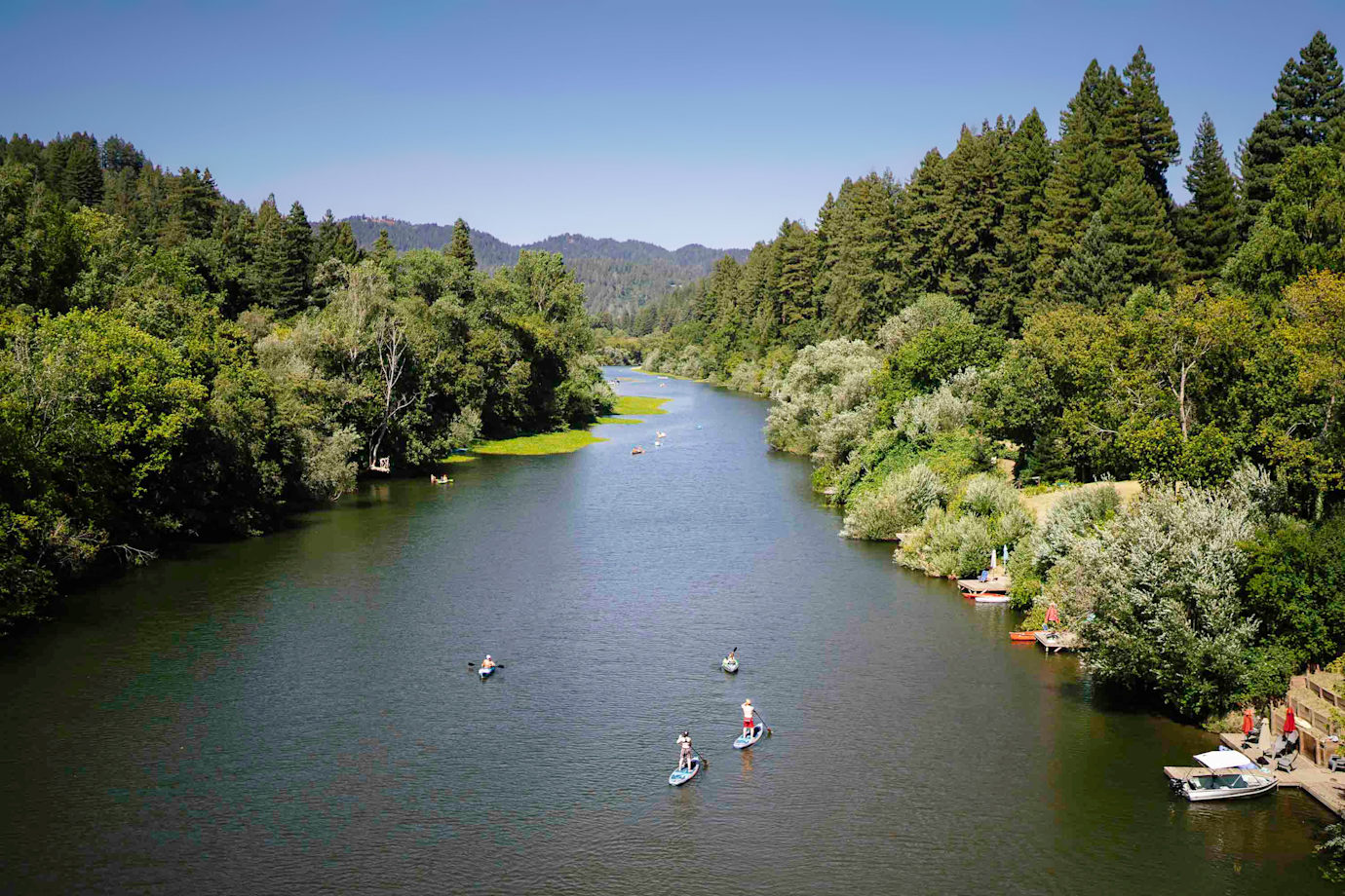 Paddle boarders on the tree-lined Russian River near Johnson's Beach.