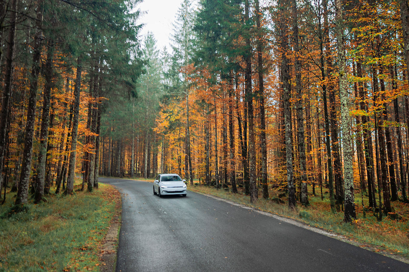 A car drives through trees with autumnal leaves.