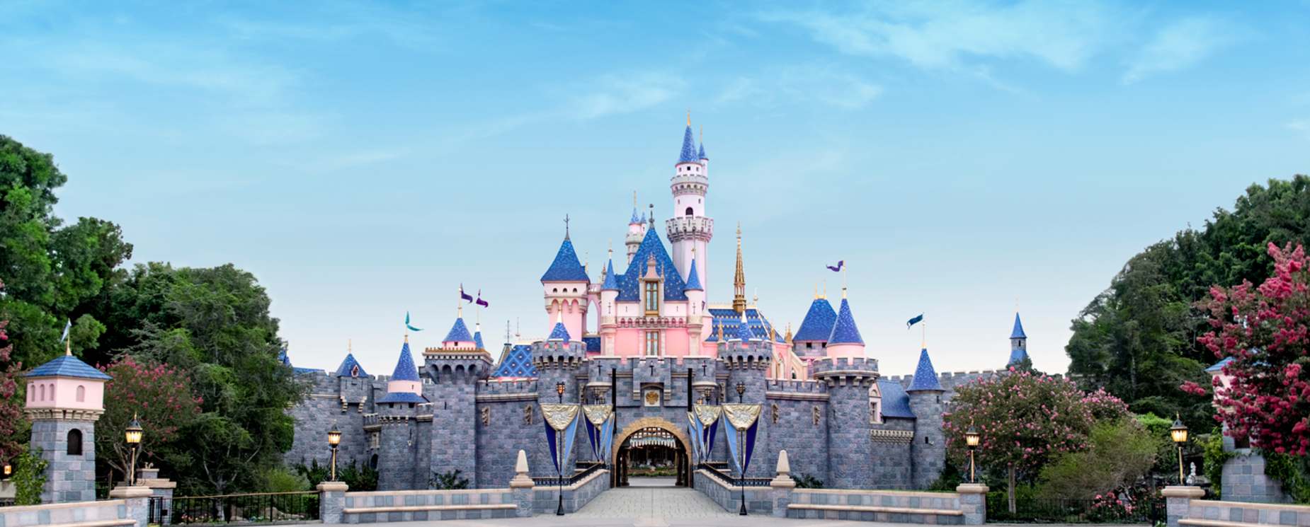 Image of Disneyland castle