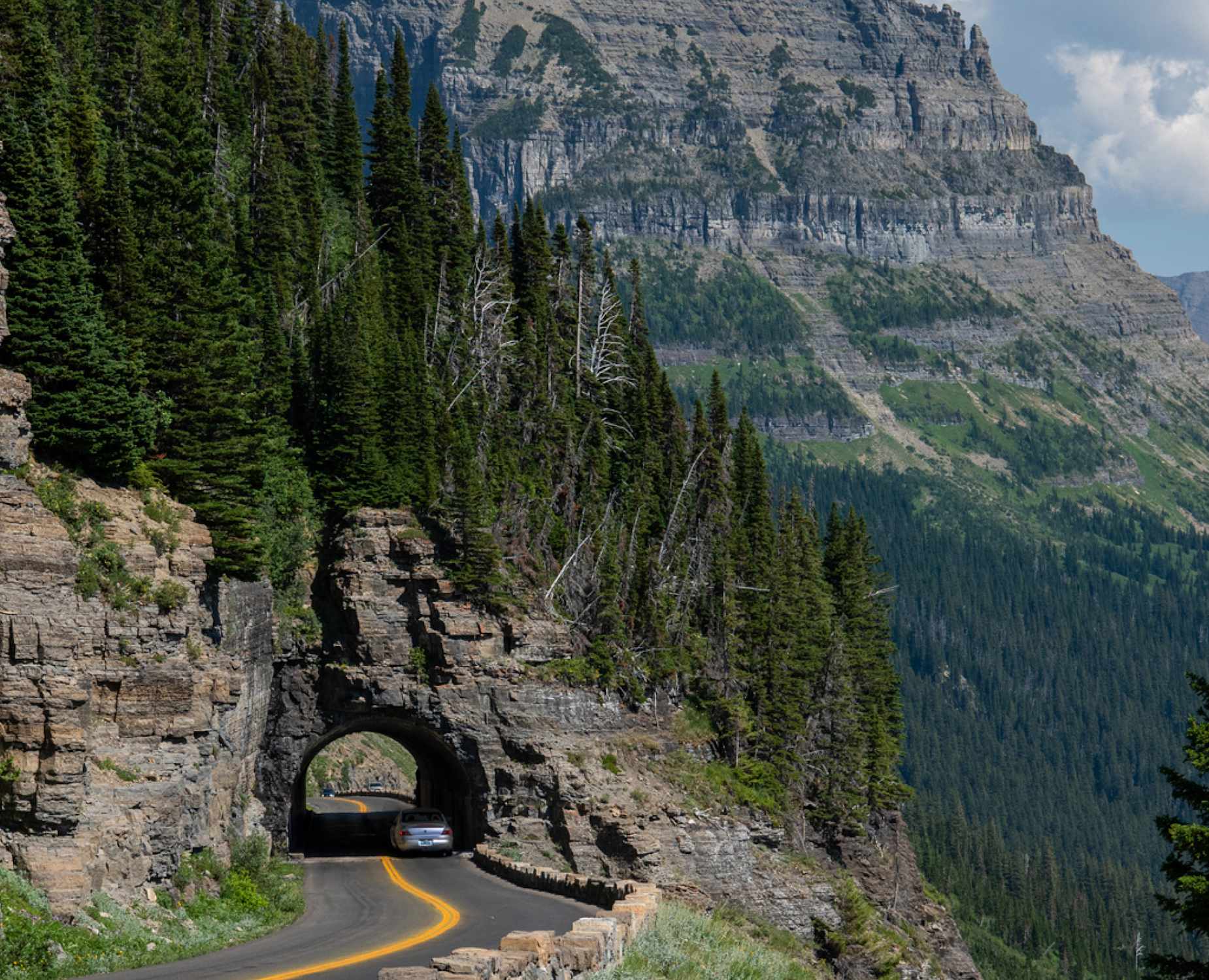 Montana landscape