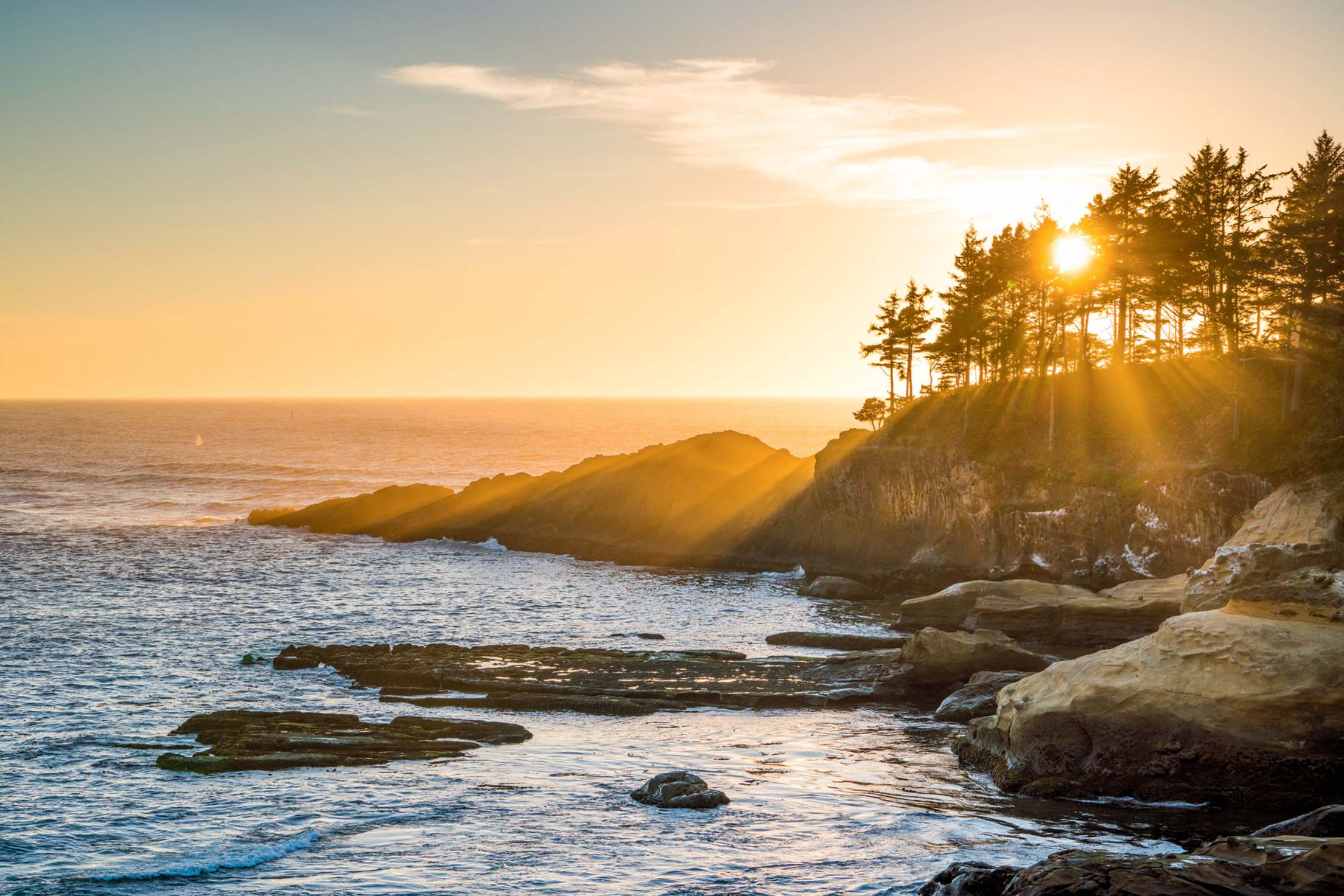 A whale comes up for air at sunset near Depoe Bay, Oregon, image