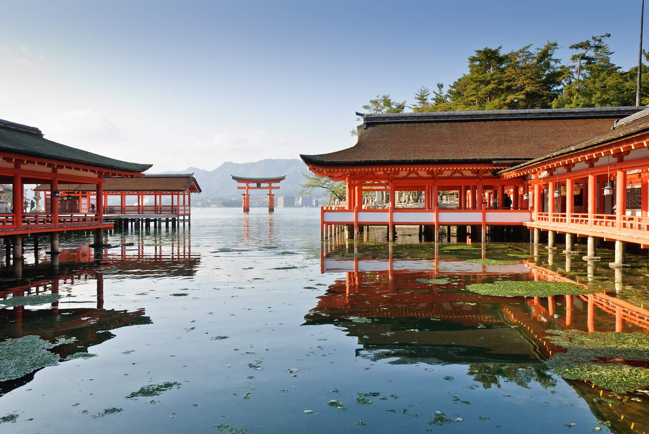 Itsukushima Shrine floating O-Torii gate through the walls of the shrine in Japan, image