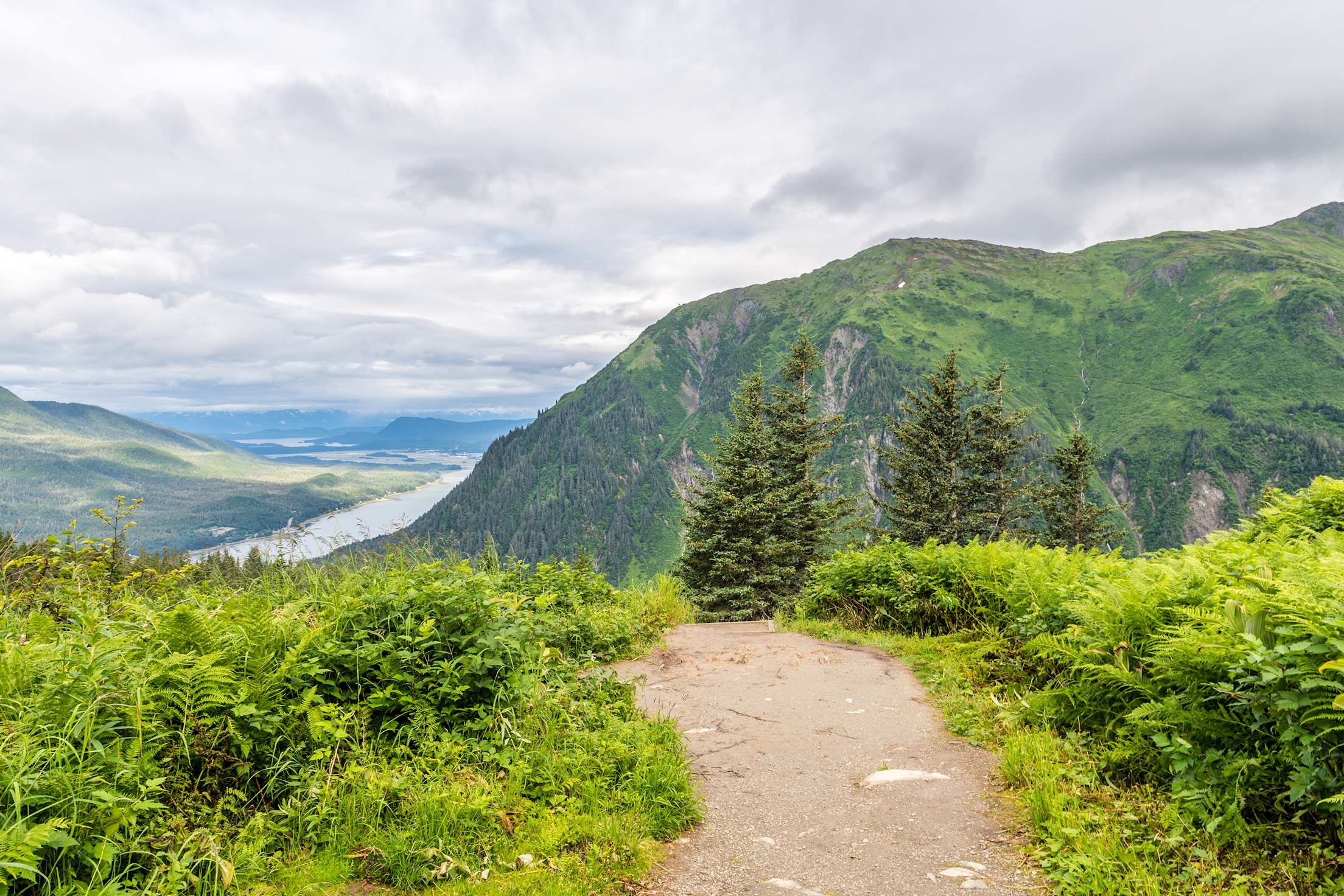 A hiking tail leads down the steep slopes of Mount Roberts towards Juneau on the Gastineau Channel in Alaska, picture