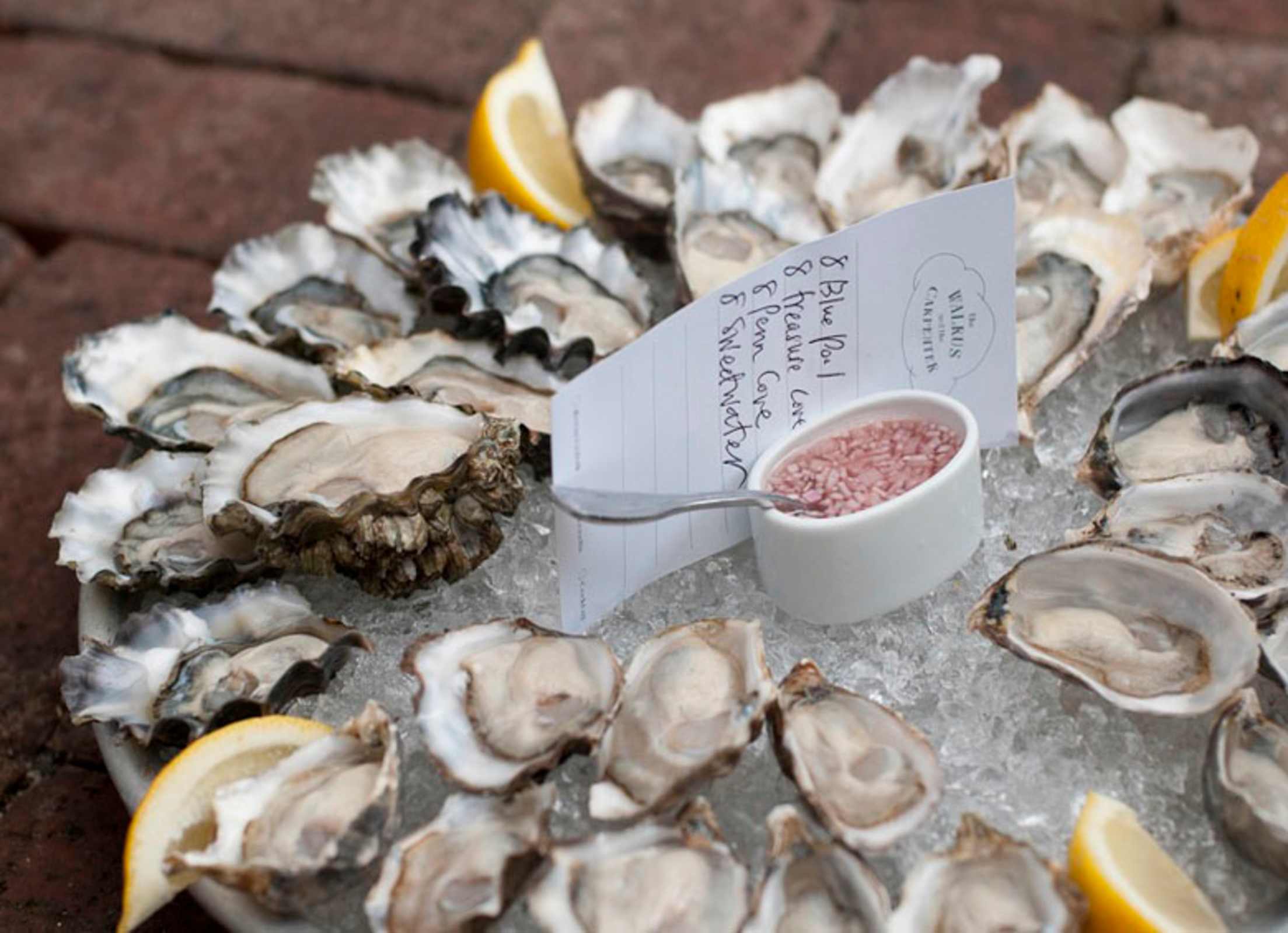 plate of oysters on the half shell at Seattle's Walrus and the Carpenter, picture