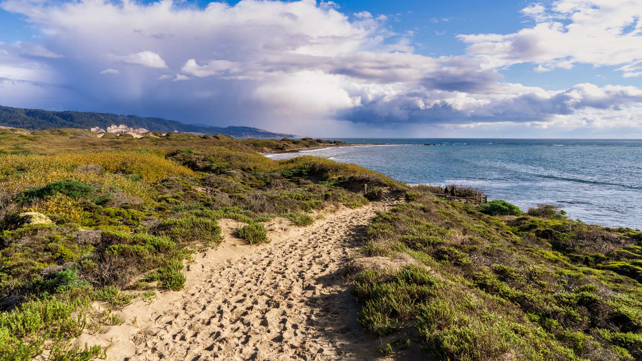 Footpath on the sand dunes of Ano Nuevo State Park; storm clouds visible in the background; Pacific Ocean Coastline, California, photo
