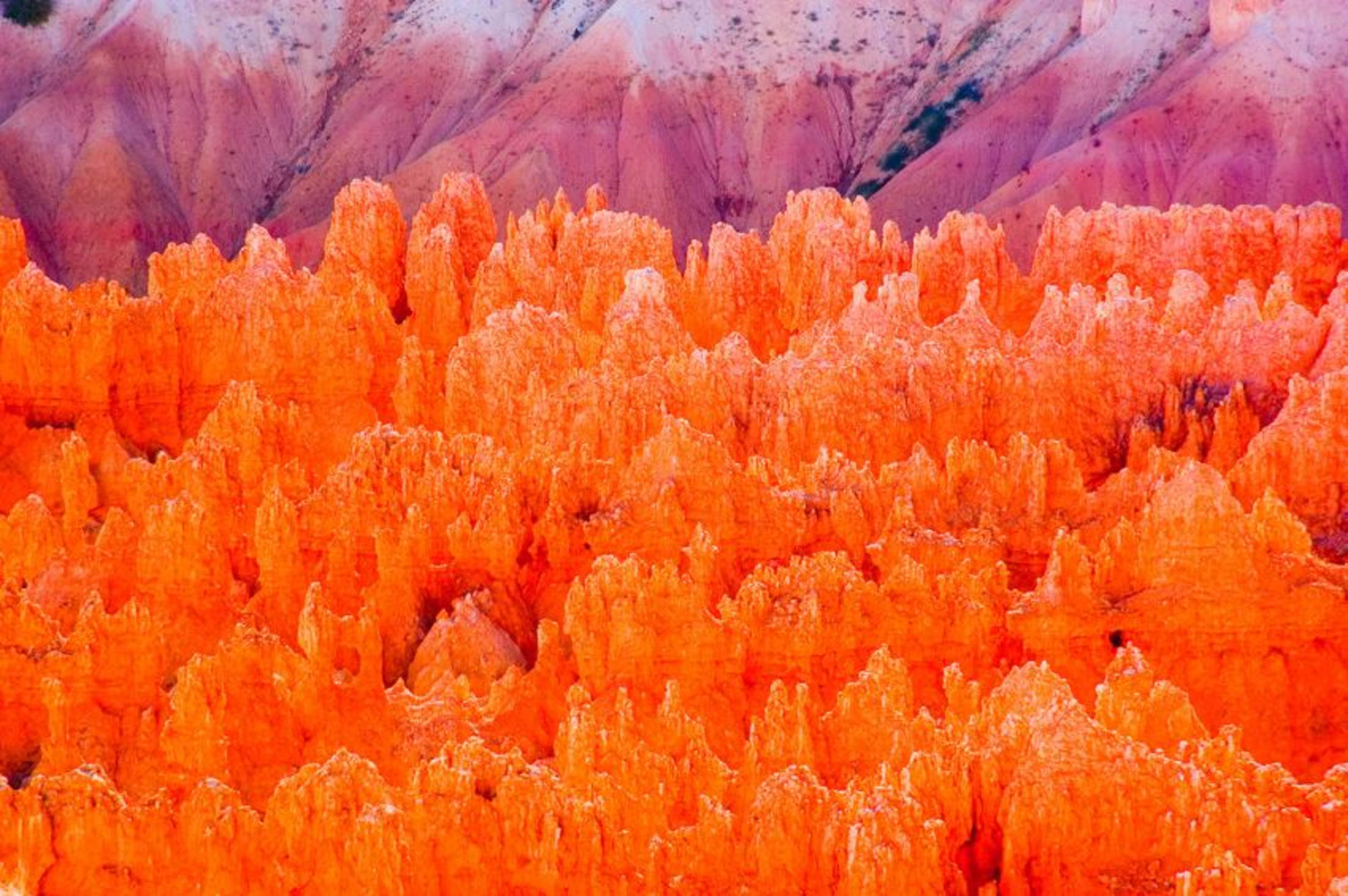 Hoodoos at Bryce Canyon National Park, picture
