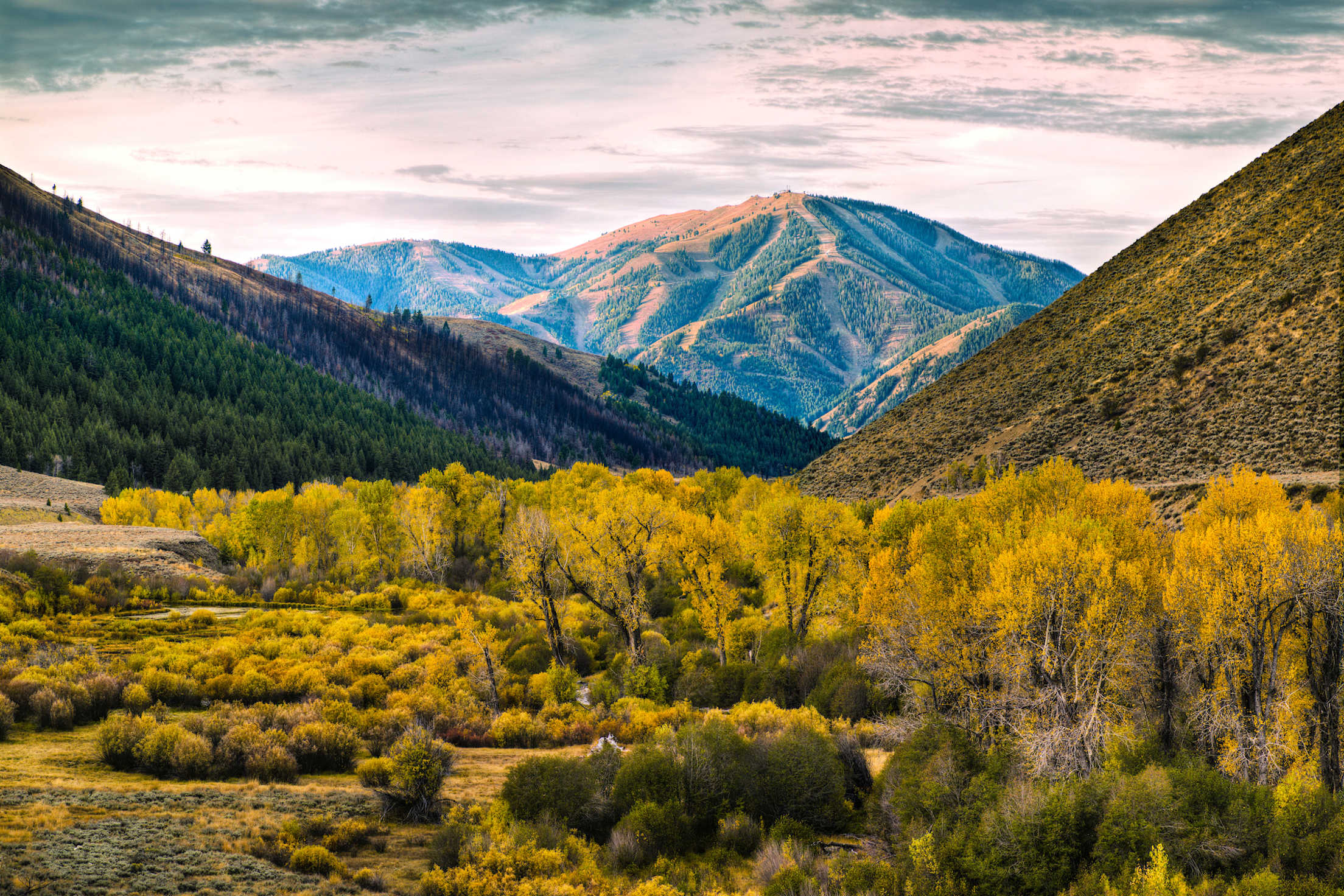 Baldy Trail Creek in Sun Valley Idaho.