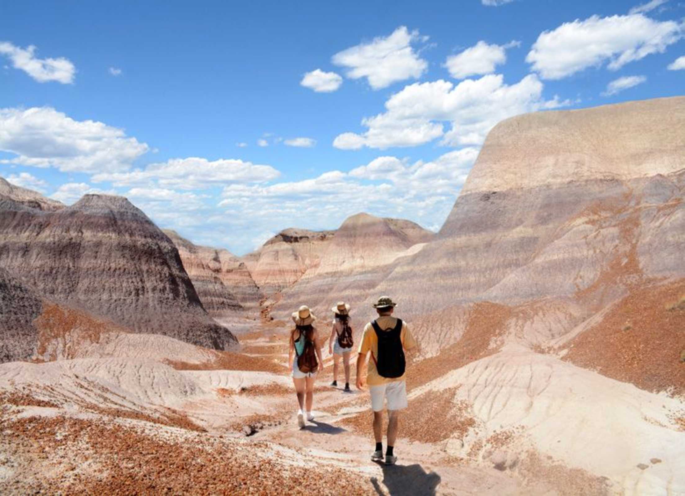 hikers on the Blue Forest Trail in Petrified Forest National Park, Arizona, image