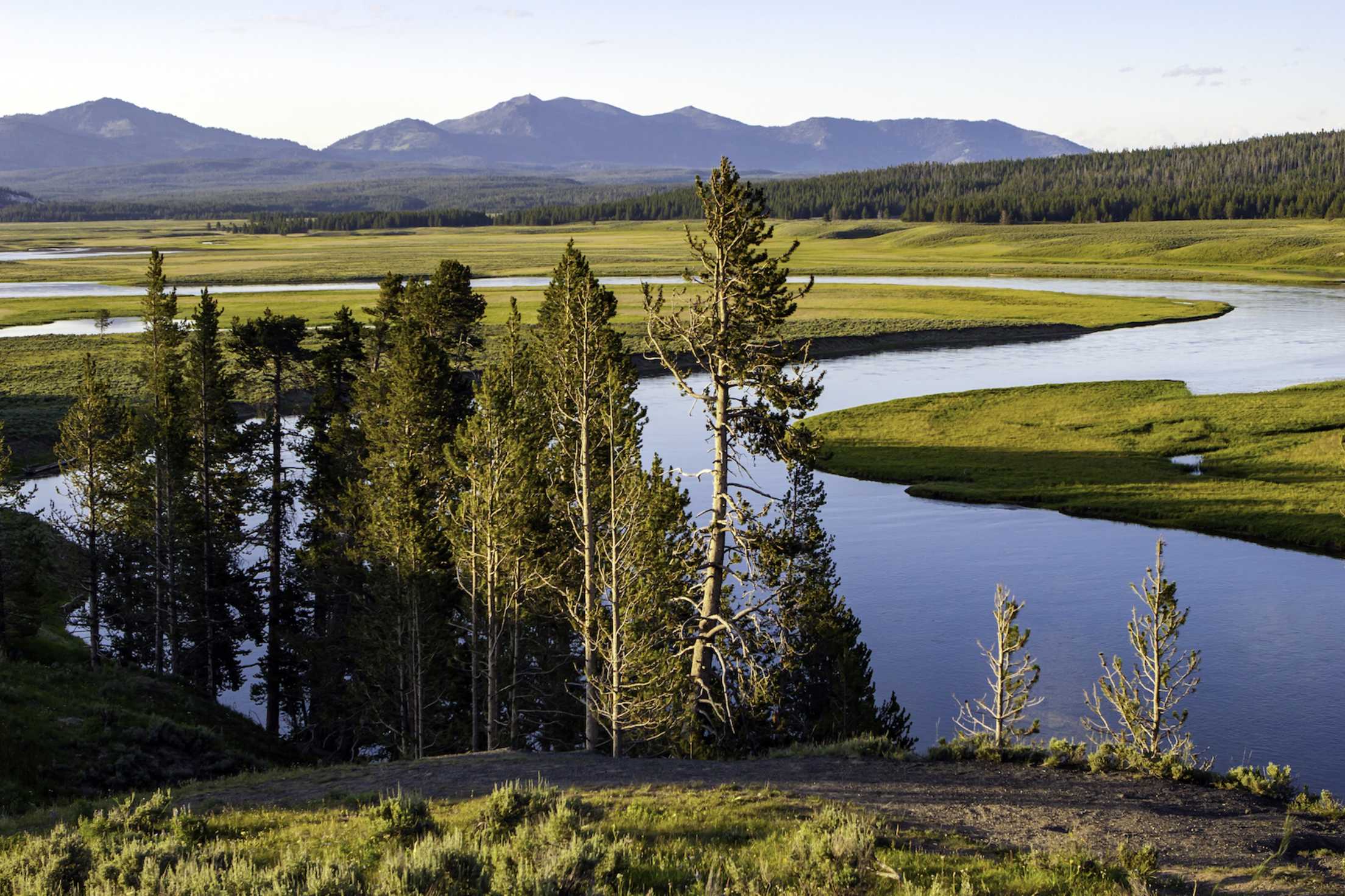 picture of the Yellowstone River passing through Hayden Valley