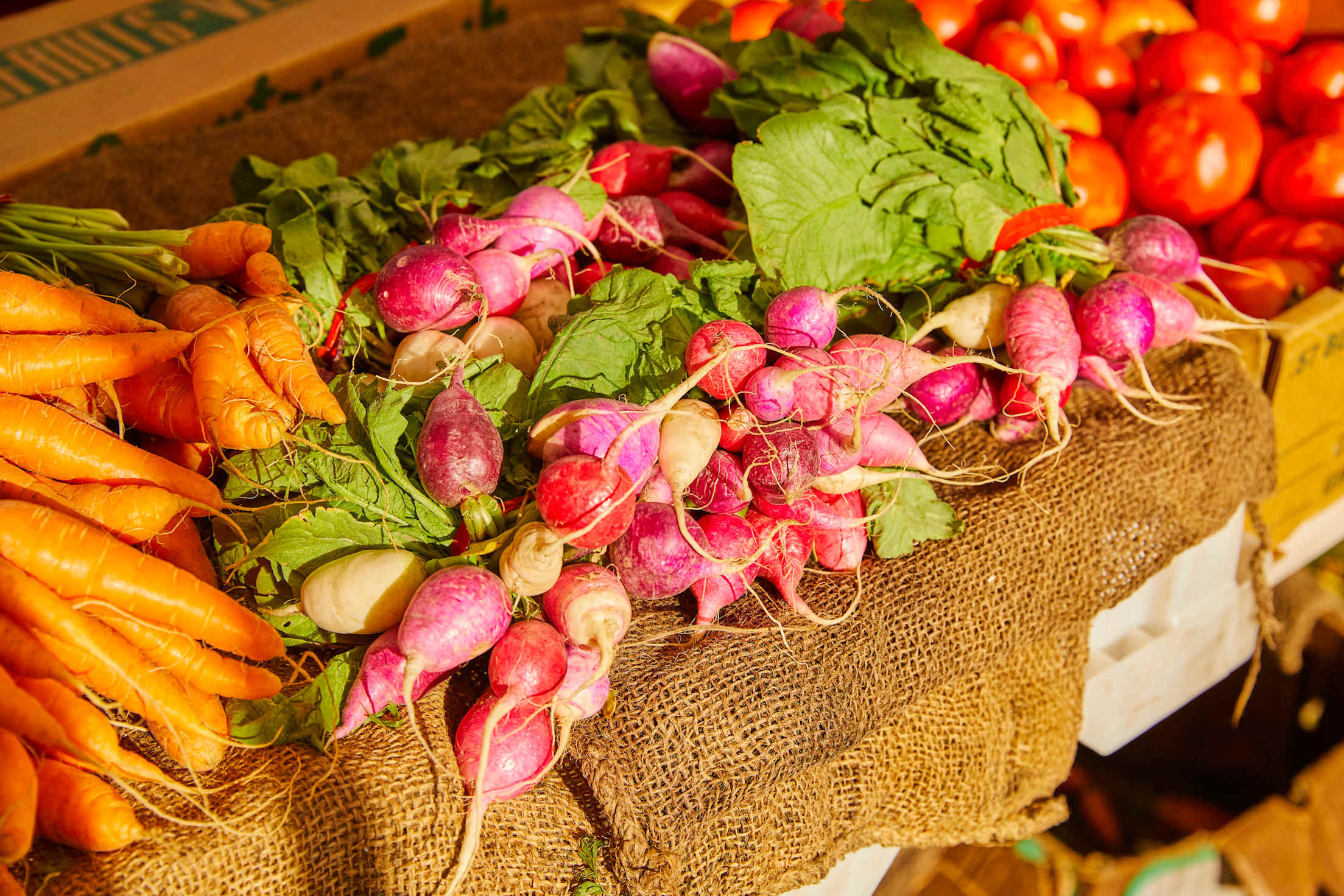 Farm fresh radishes on display at the farmers market in Petaluma's Walnut Park