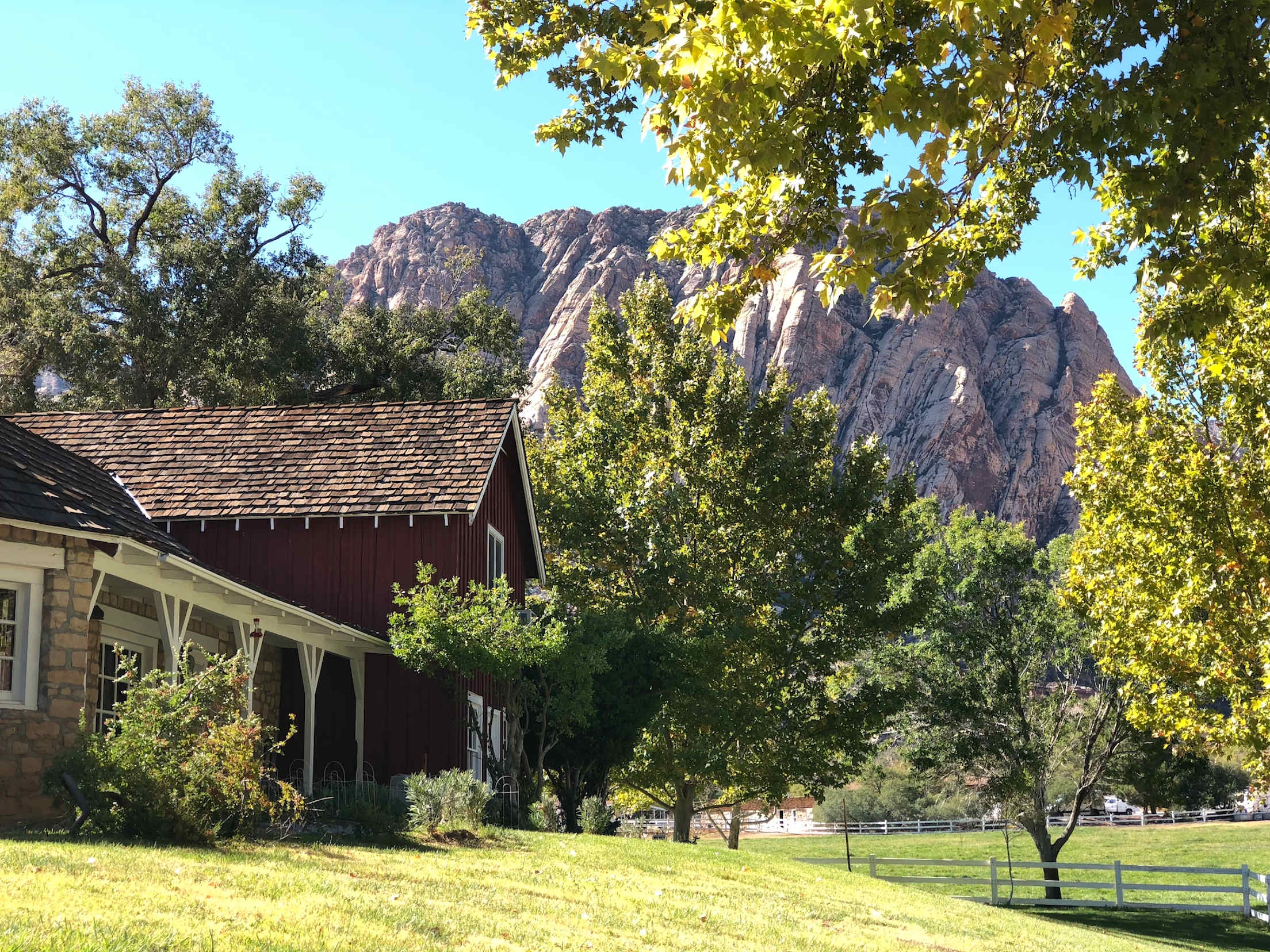 a picture taken at Spring Mountain Ranch State Park with green grass and trees