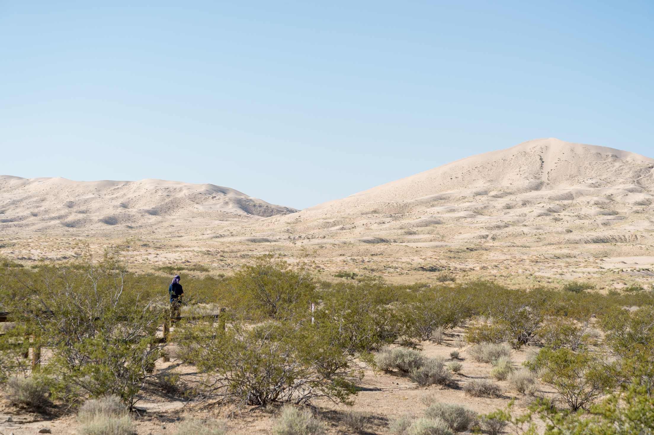 Mojave National Preserve sand dunes, picture