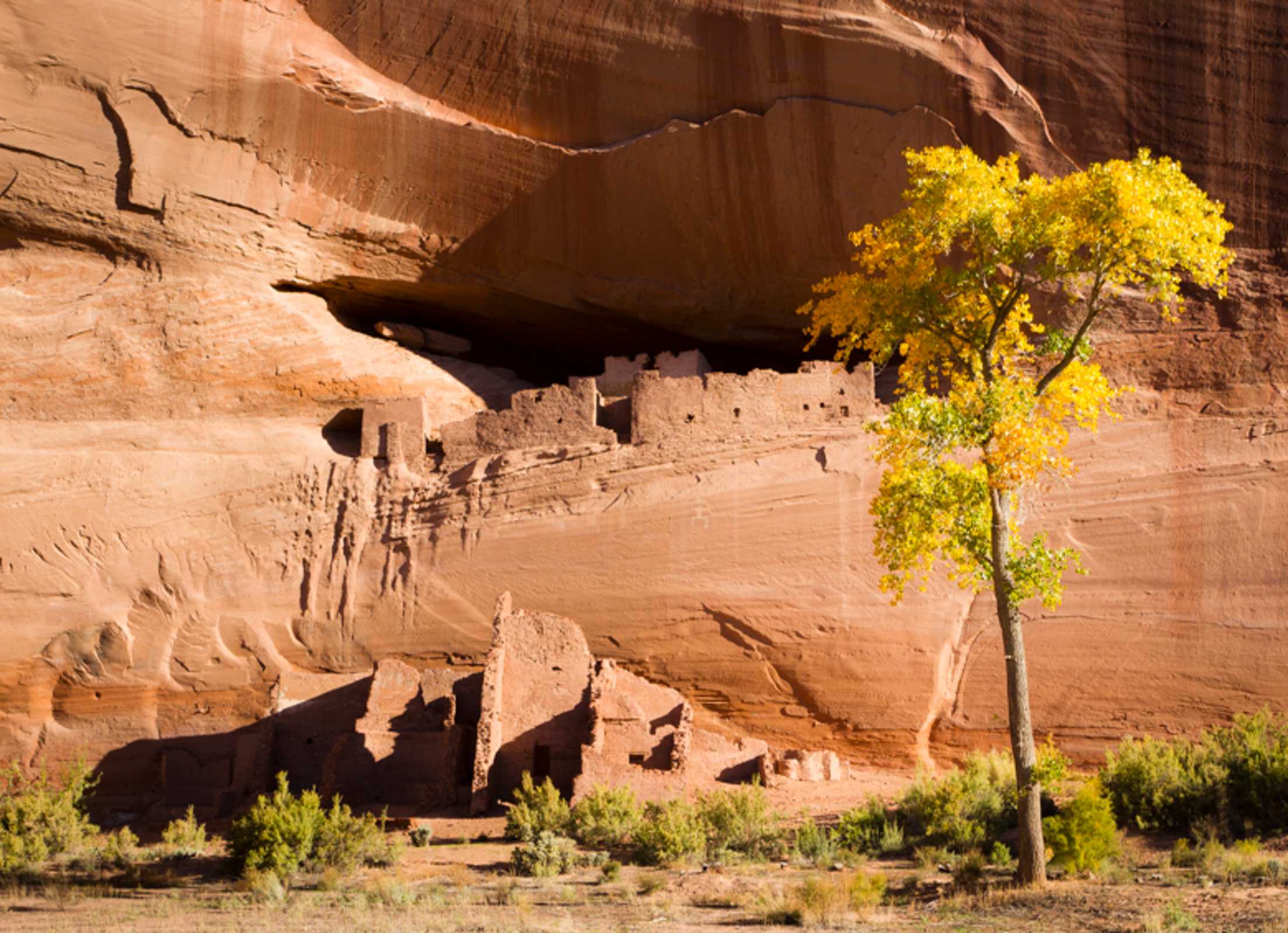 White House Ruin at Canyon de Chelly in Arizona, picture