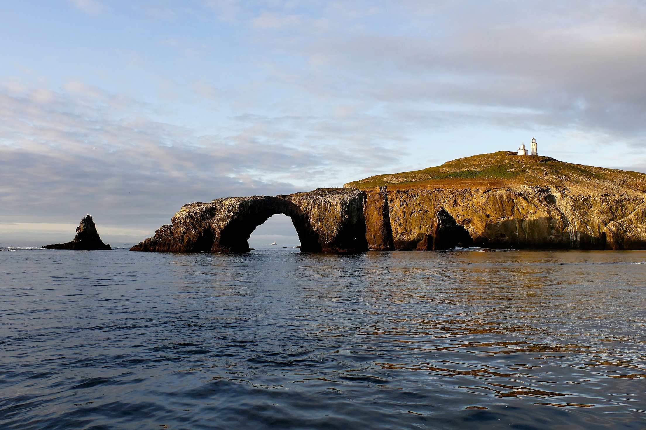 Marine sanctuary on Anacapa Island off the coast of California, part of the Channel Island National Park, photo