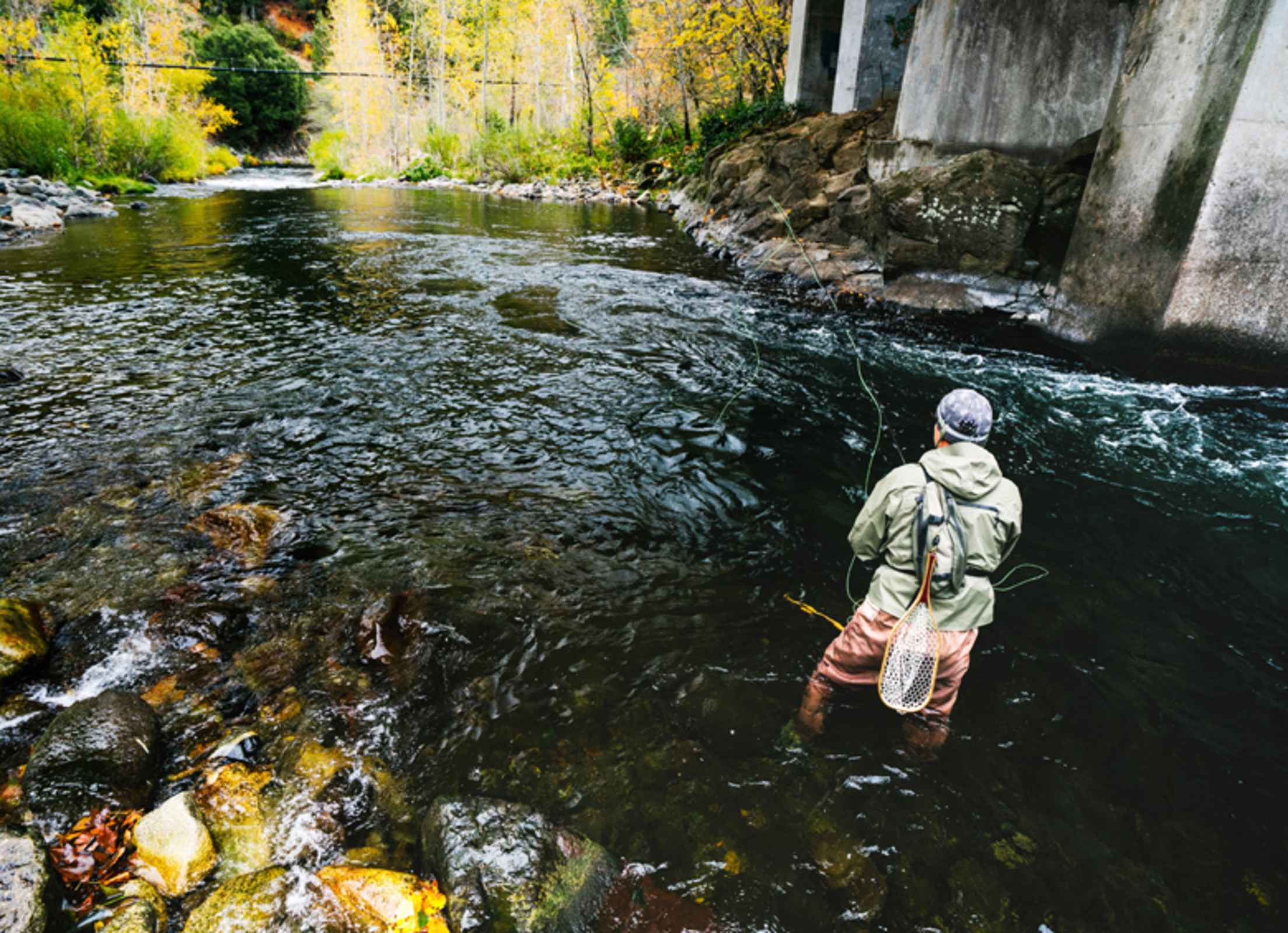 man stands fly fishing in the Upper Sacramento River, California, picture