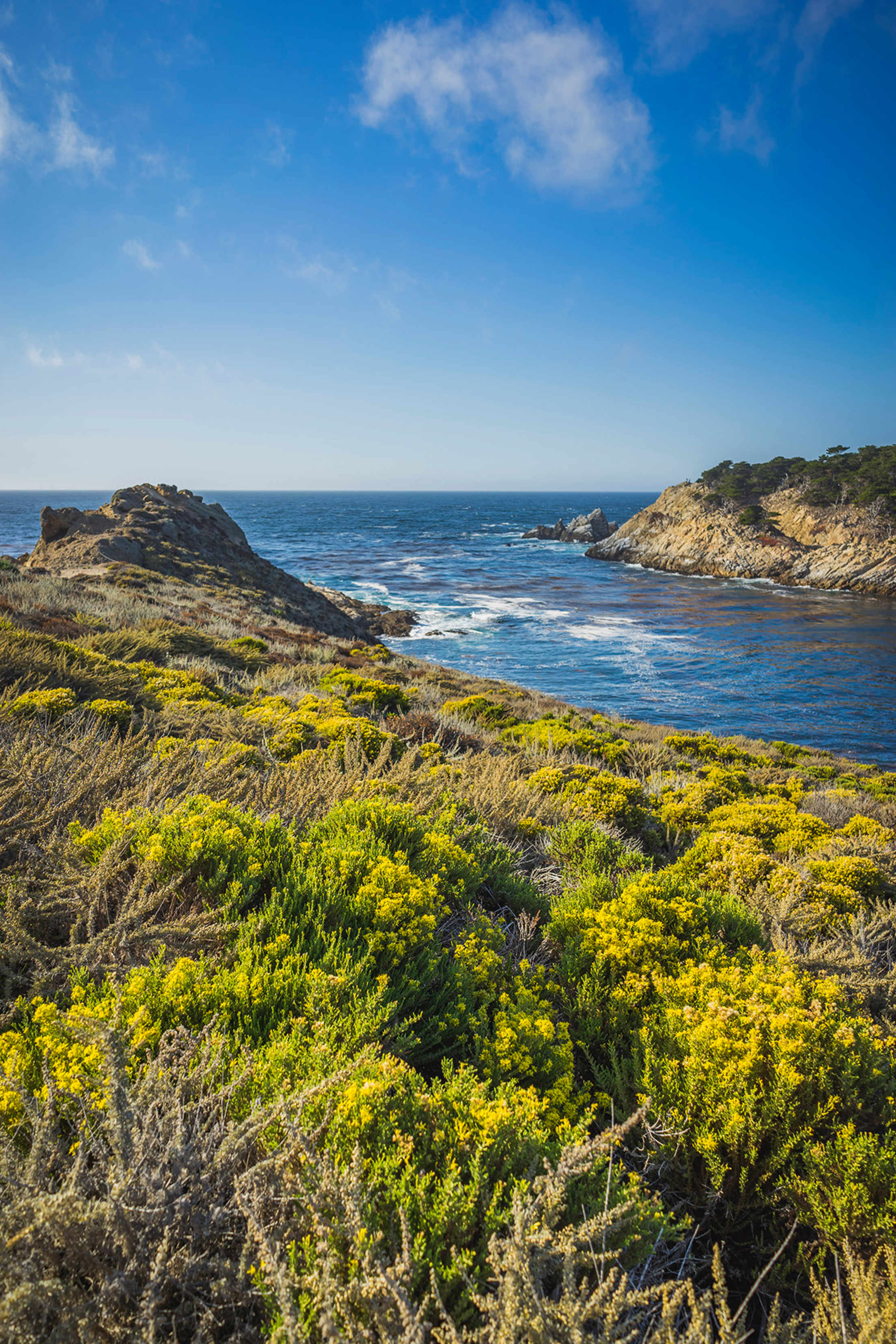 a gorgeous image of Point Lobos and the Pacific, picture