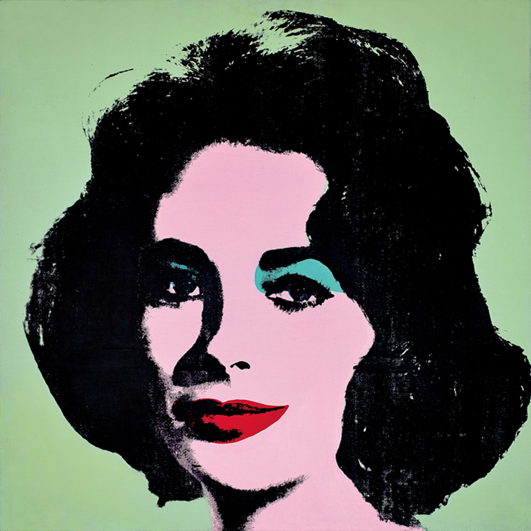 Andy Warhol's Liz #3 at the Art Institute of Chicago, picture