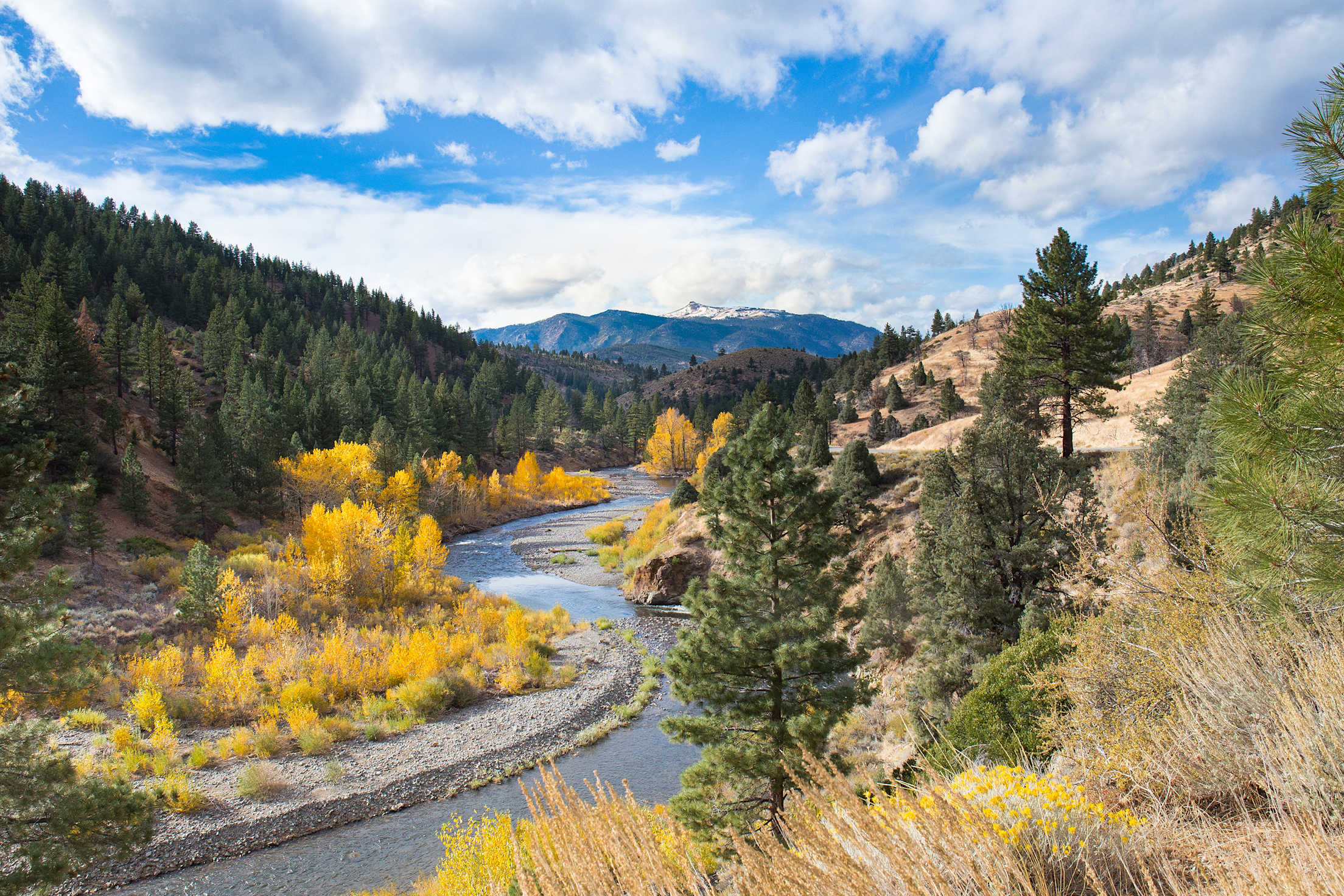 The Carson River flows through Hope Valley in fall, photo