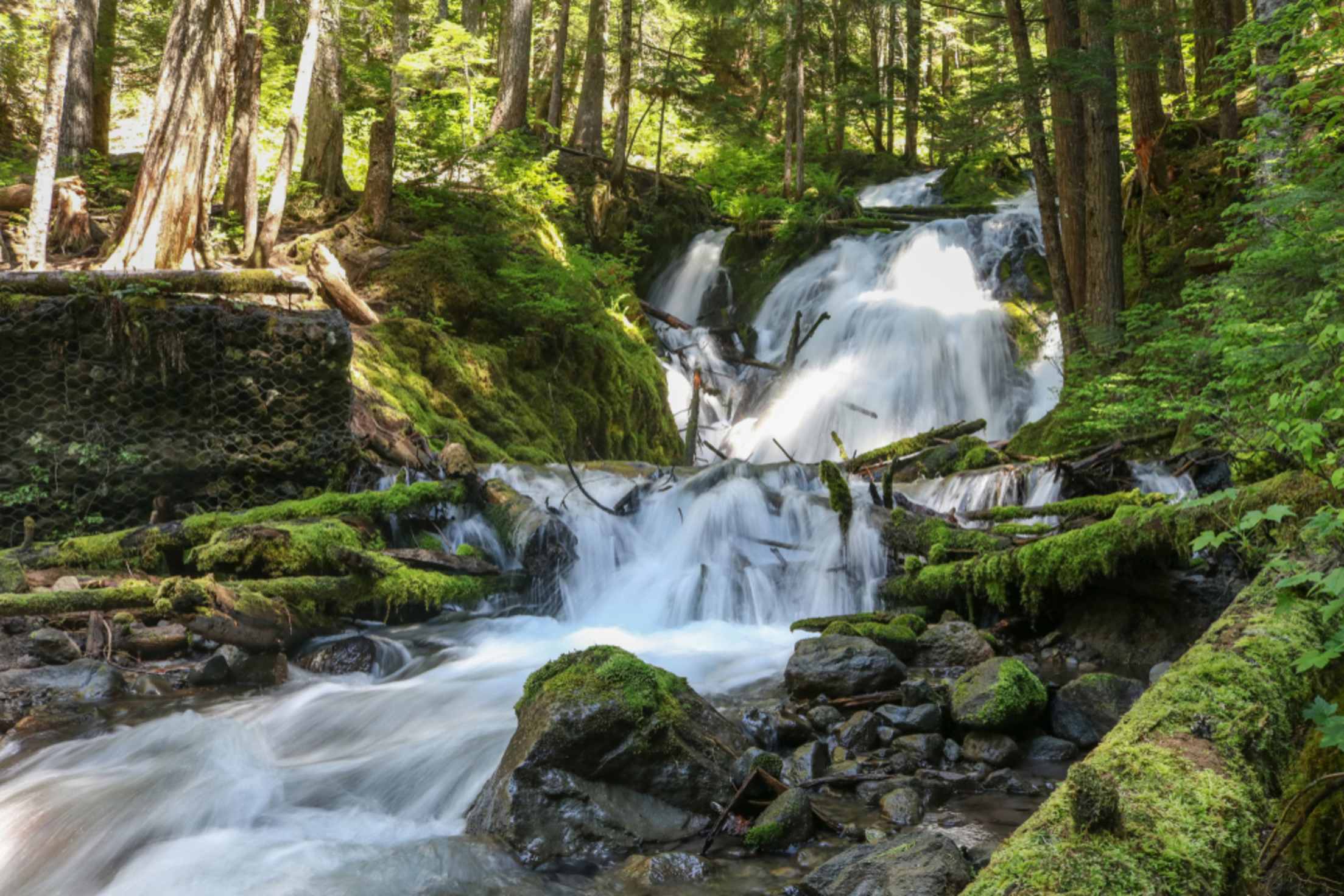 Little Zigzag Falls in Mount Hood National Forest, Oregon, photo