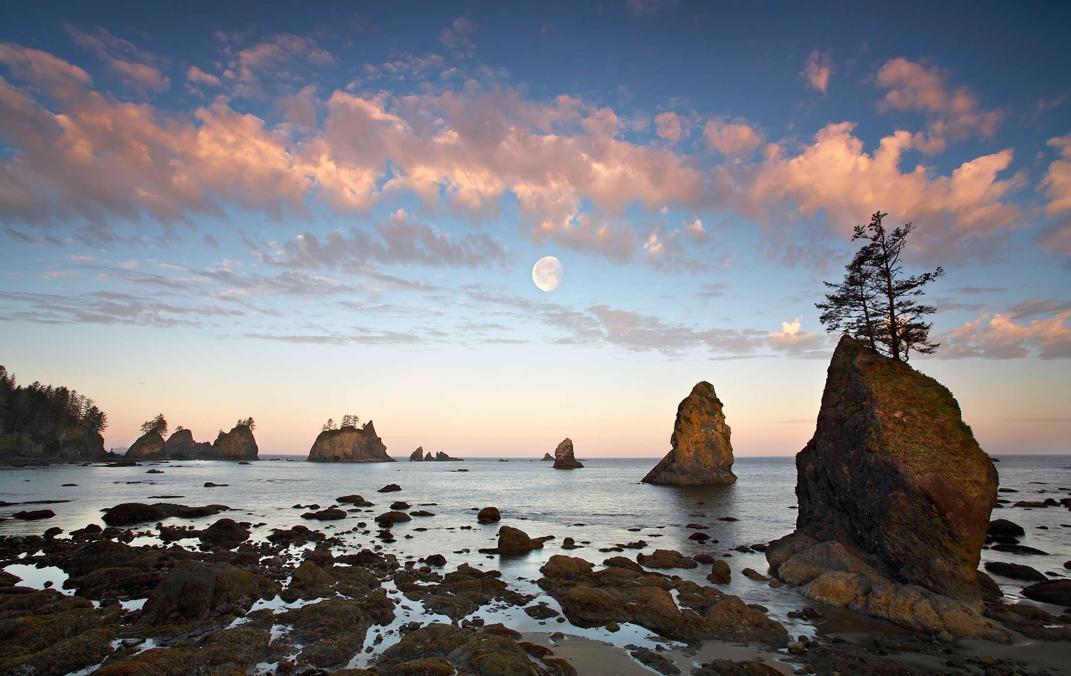 Shi Shi Beach in Neah Bay, Washington at sunrise, photo