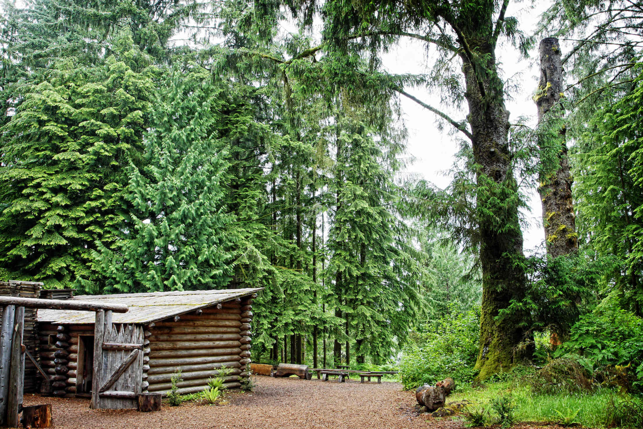 log cabins at Fort Clatsop with trees in the background