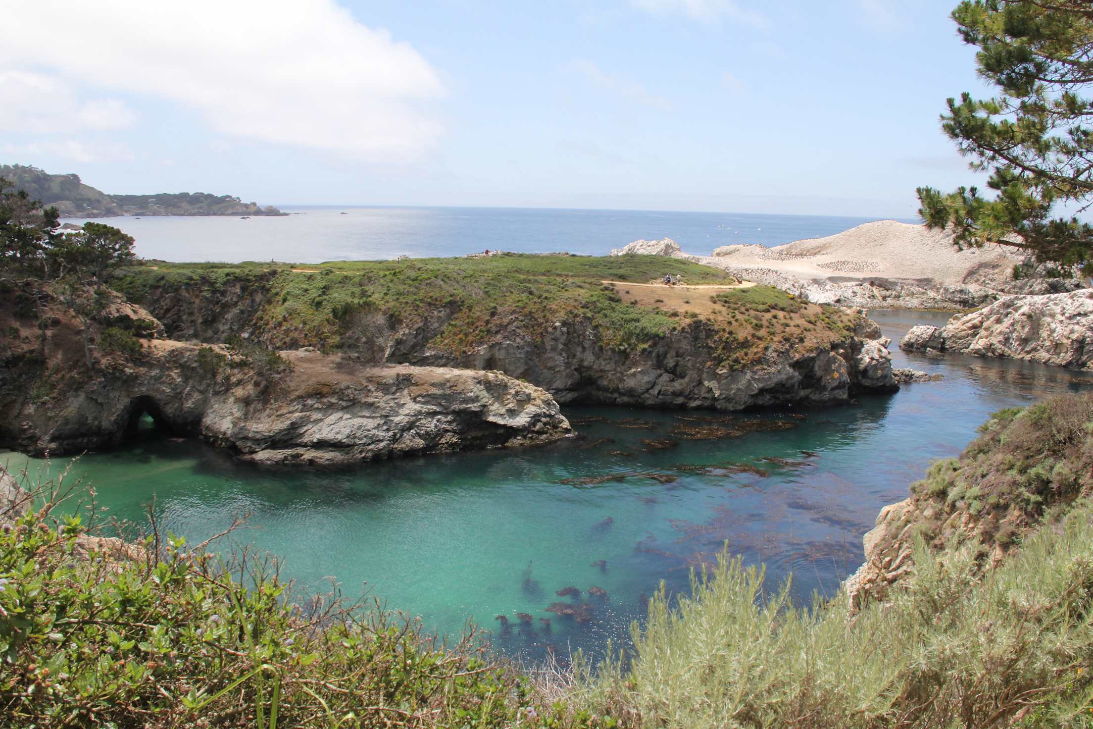 the beautiful clear green waters of China Cove, image