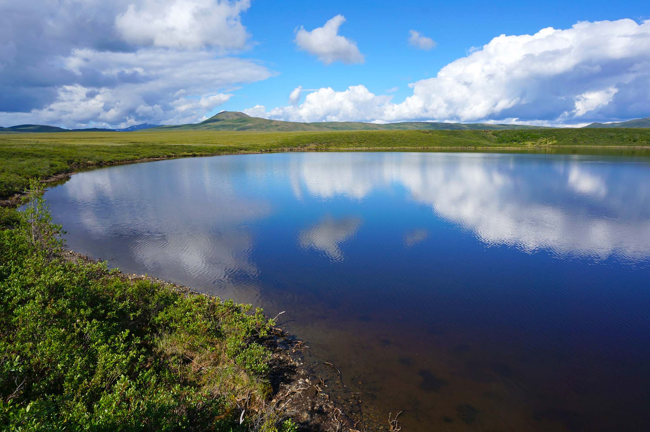 picture of a pond off the Mackenzie Riverway Delta in the Northwest Territories