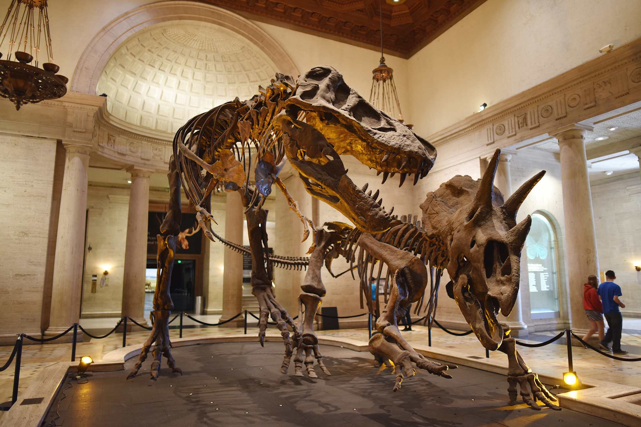 Towering dinosaurs great visitors at the Natural History Museum in Los Angeles, picture