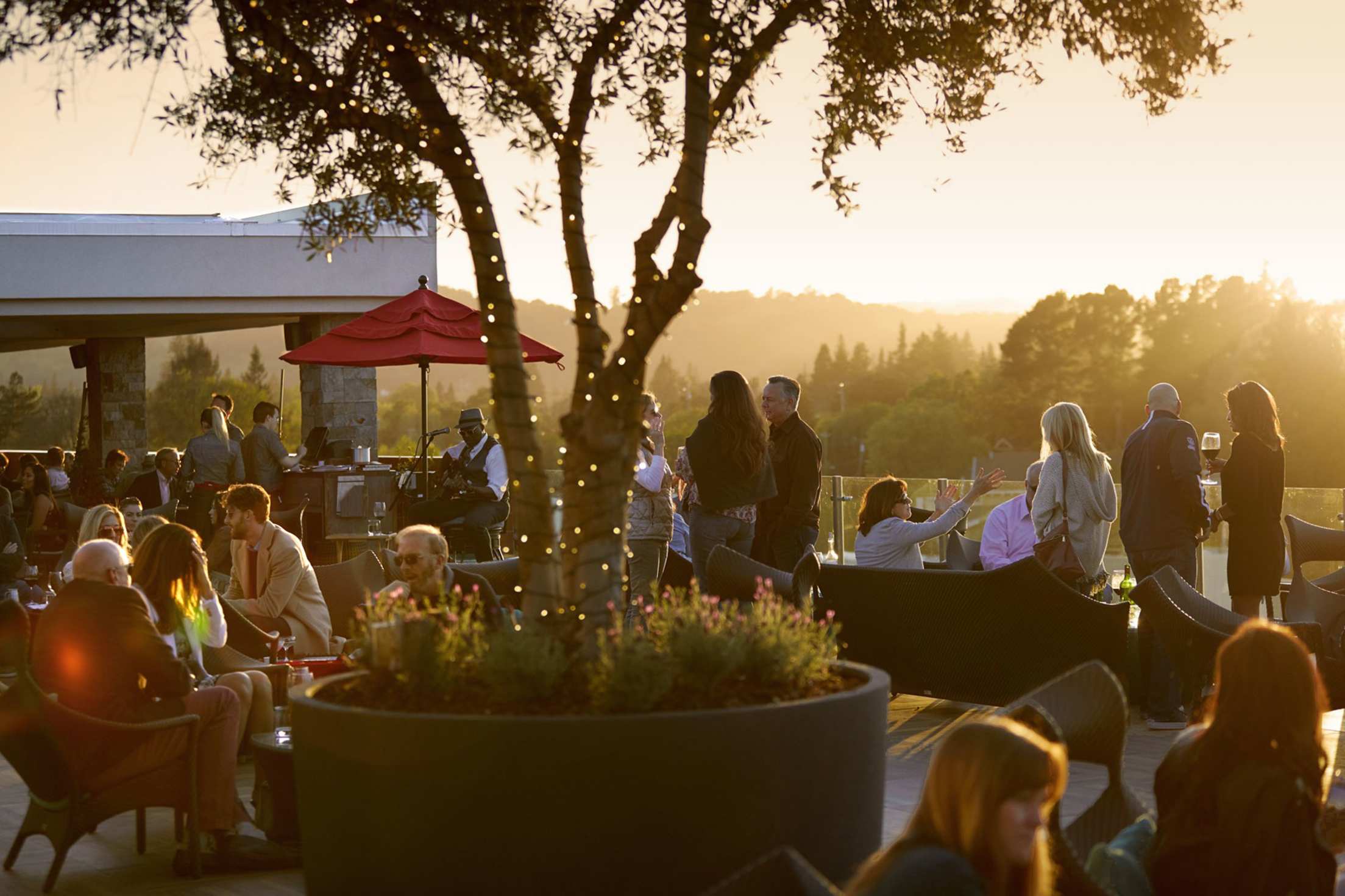 Sky & Vine rooftop bar guests sip drinks in the setting sun, picture