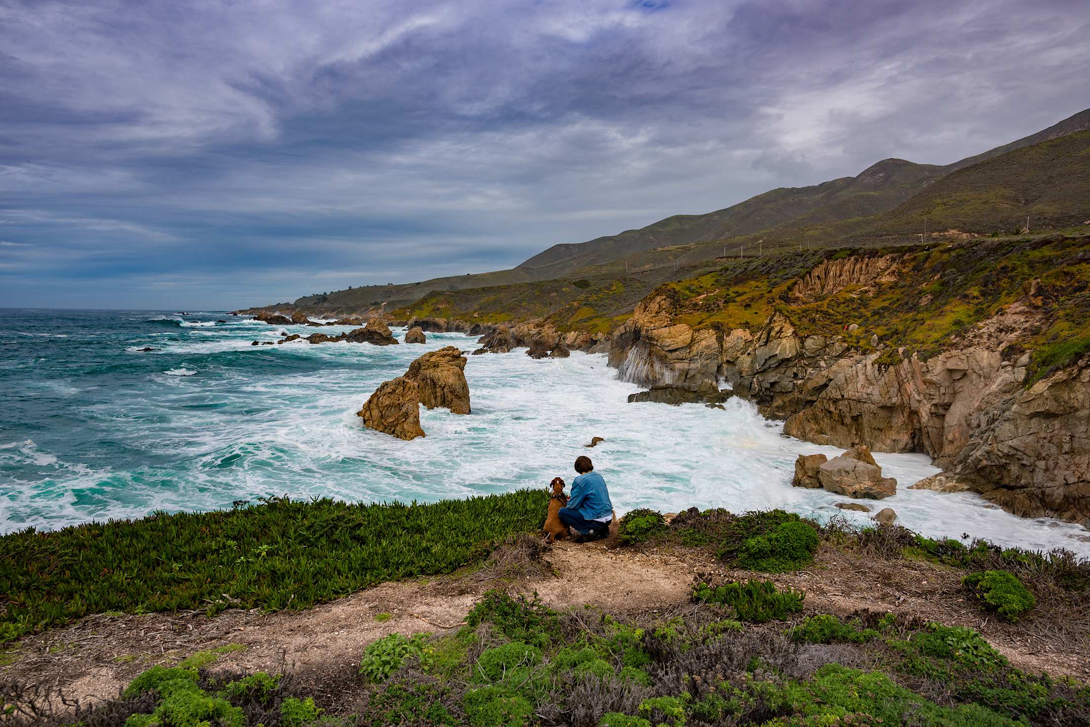 AAA Member with his dog on the coast in Carmel, California.