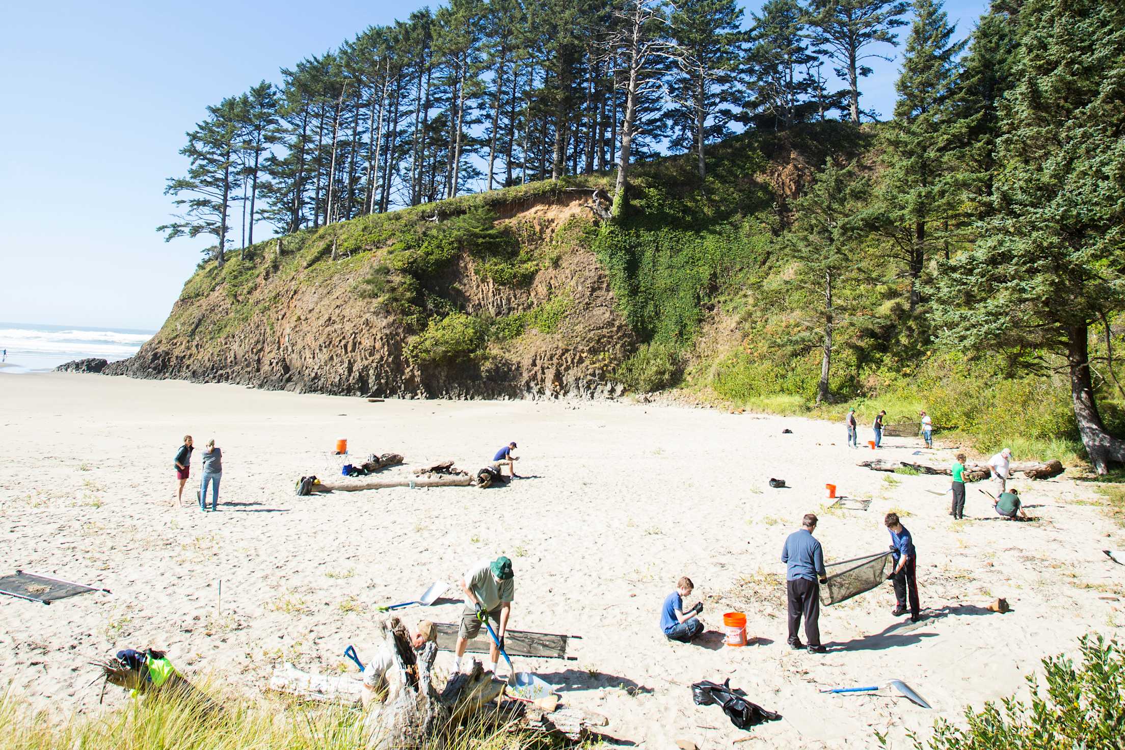 Volunteers remove plastic pollution from the sand in Cannon Beach, Oregon.