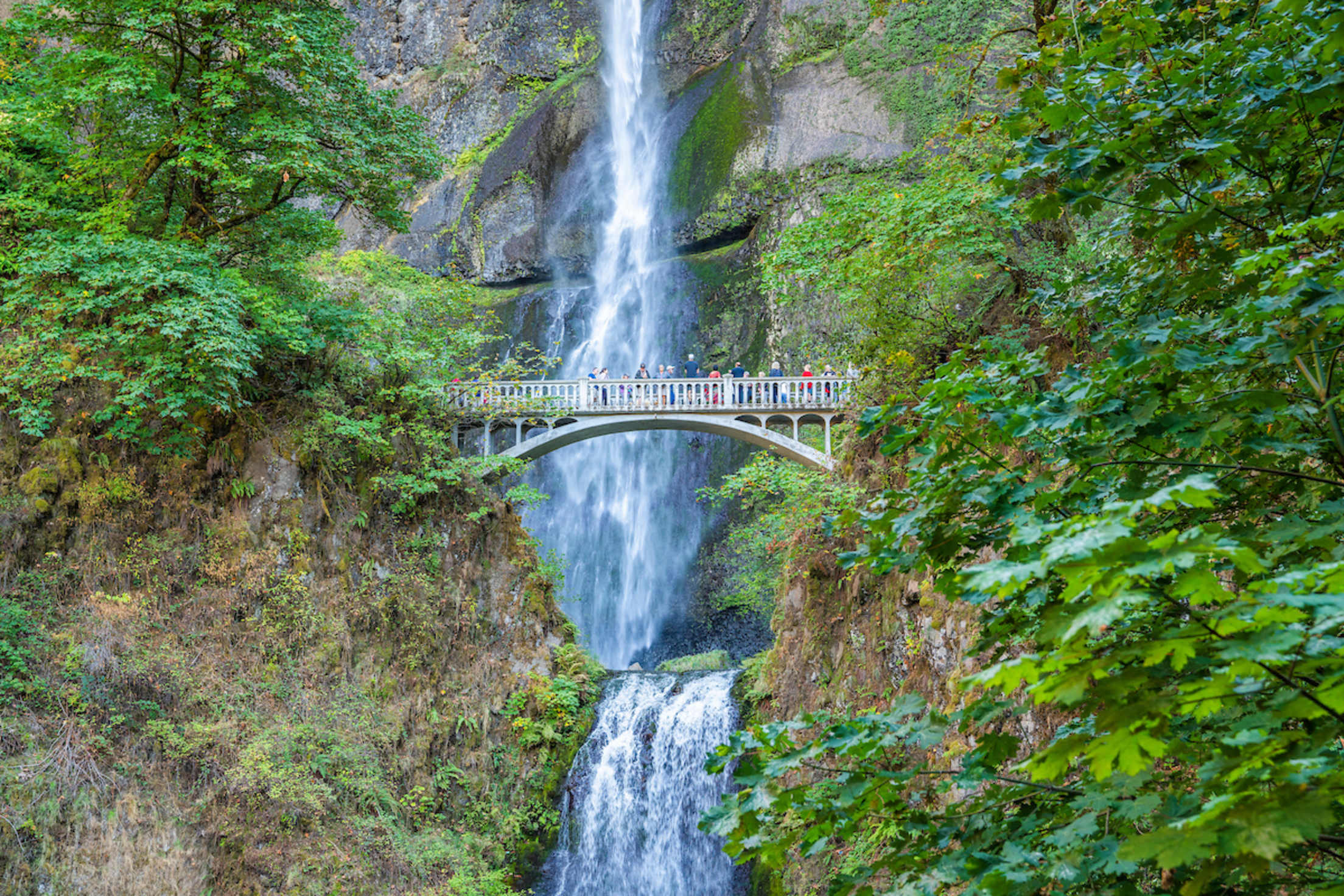 visitors stop on the bridge that spans multnomah falls near portland, oregon