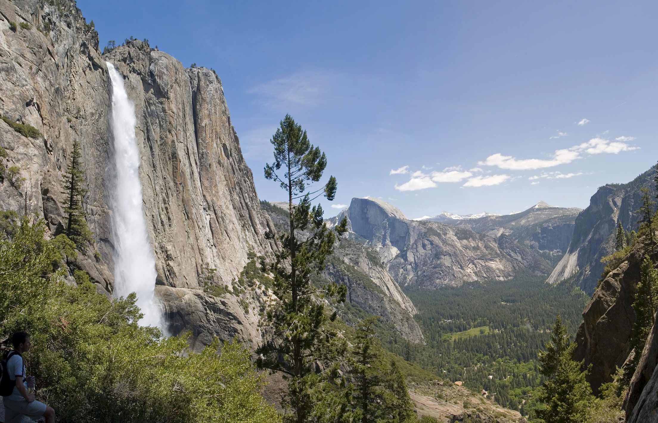 Bridalveil Fall in Yosemite seen against a blue sky with trees in the foreground