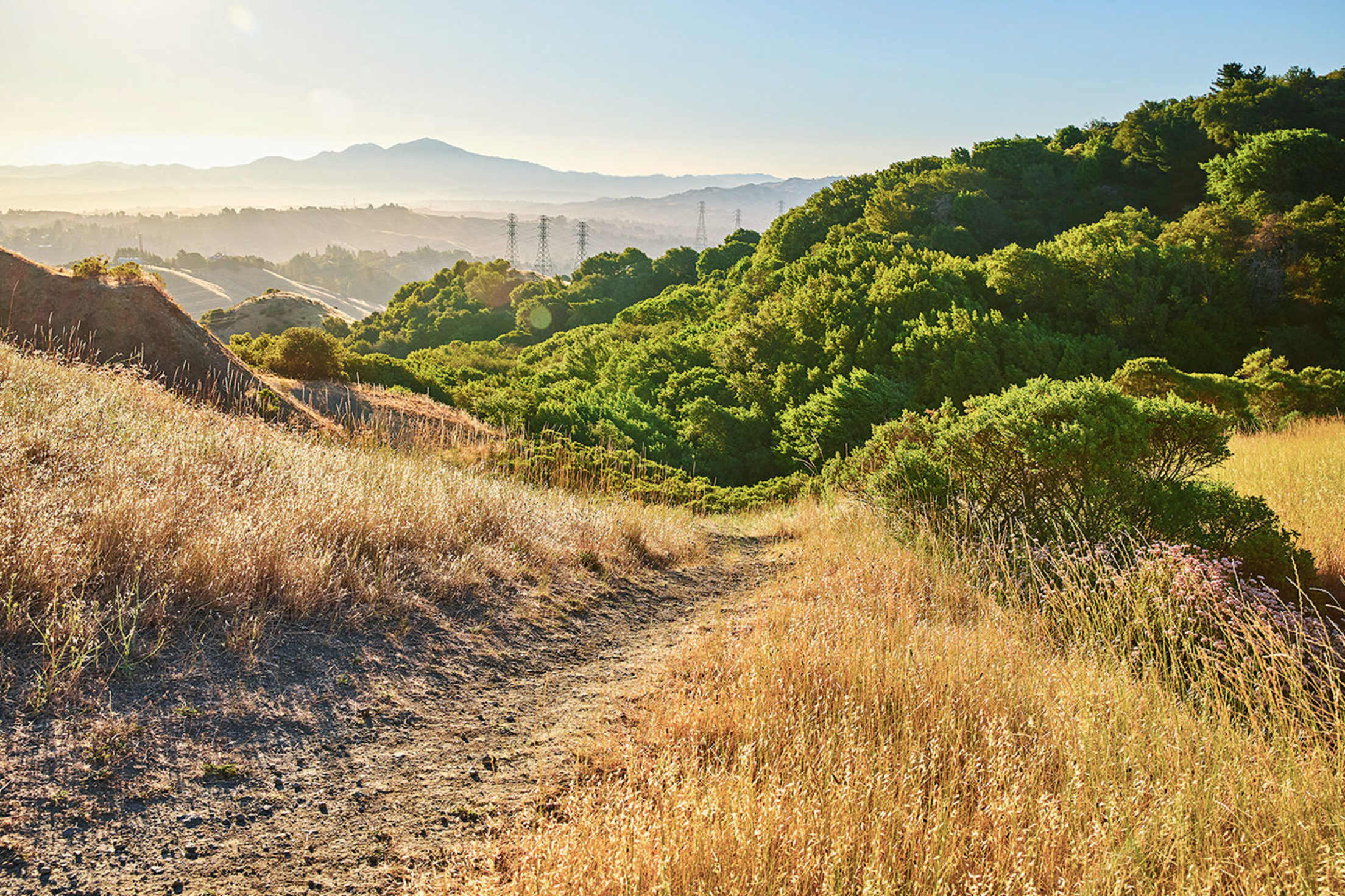 Round Top Loop Trail moves through golden, dry grass and native chaparral at Sibley Volcanic Regional Preserve in California