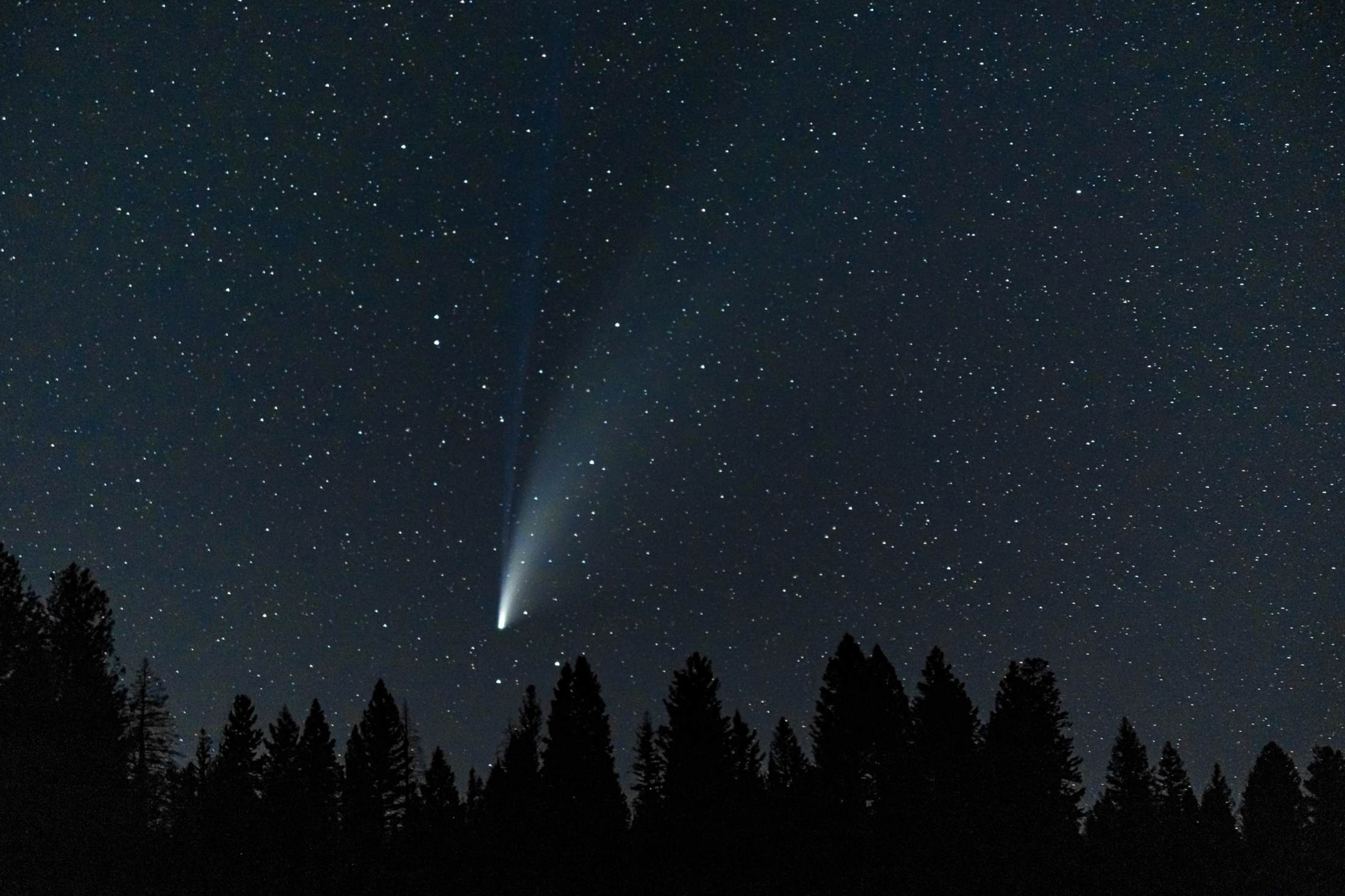 Comet Neowise in the sky above Central Idaho Dark Sky Reserve.