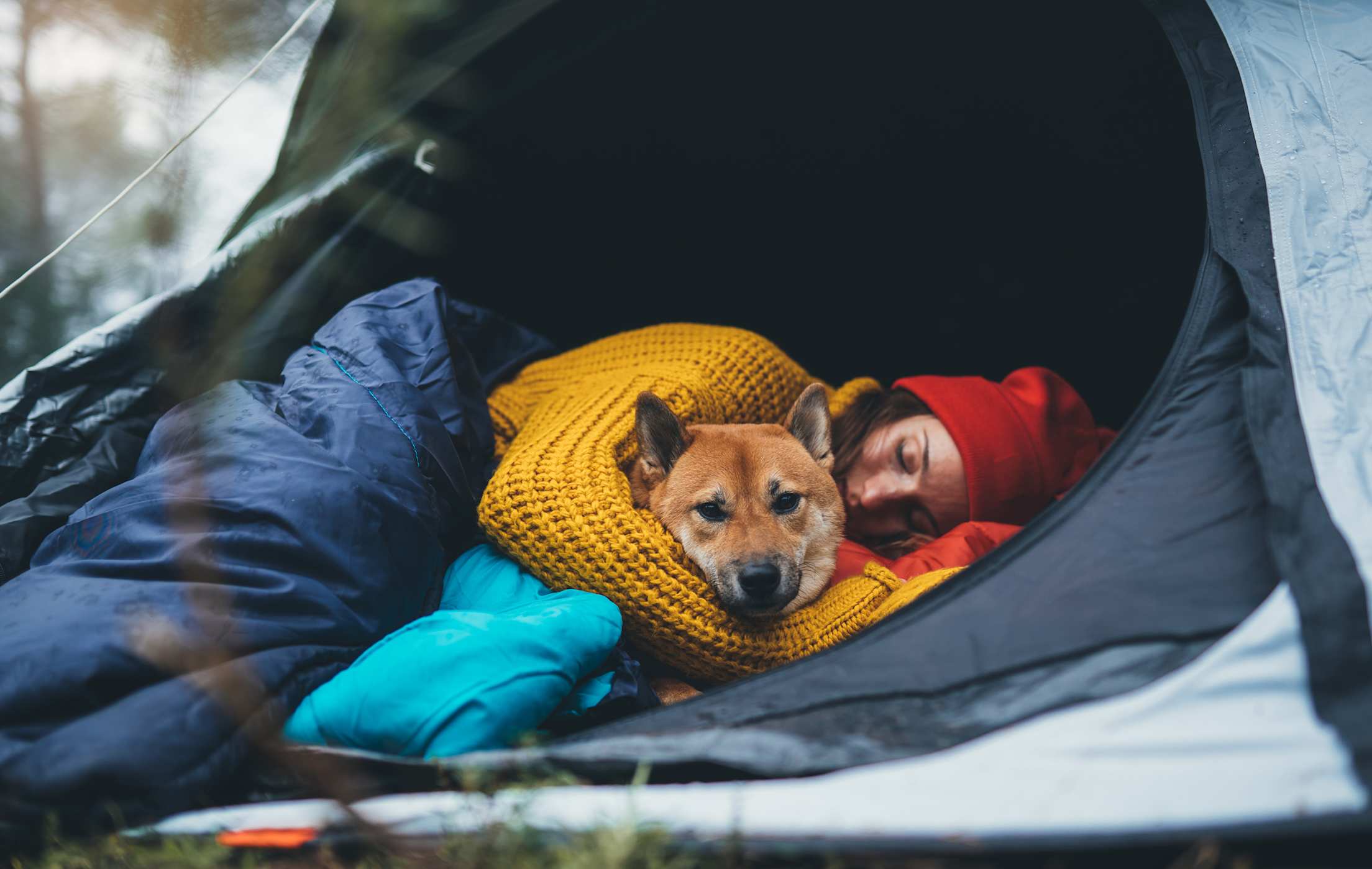 A woman cuddles with her dog in her camping tent.