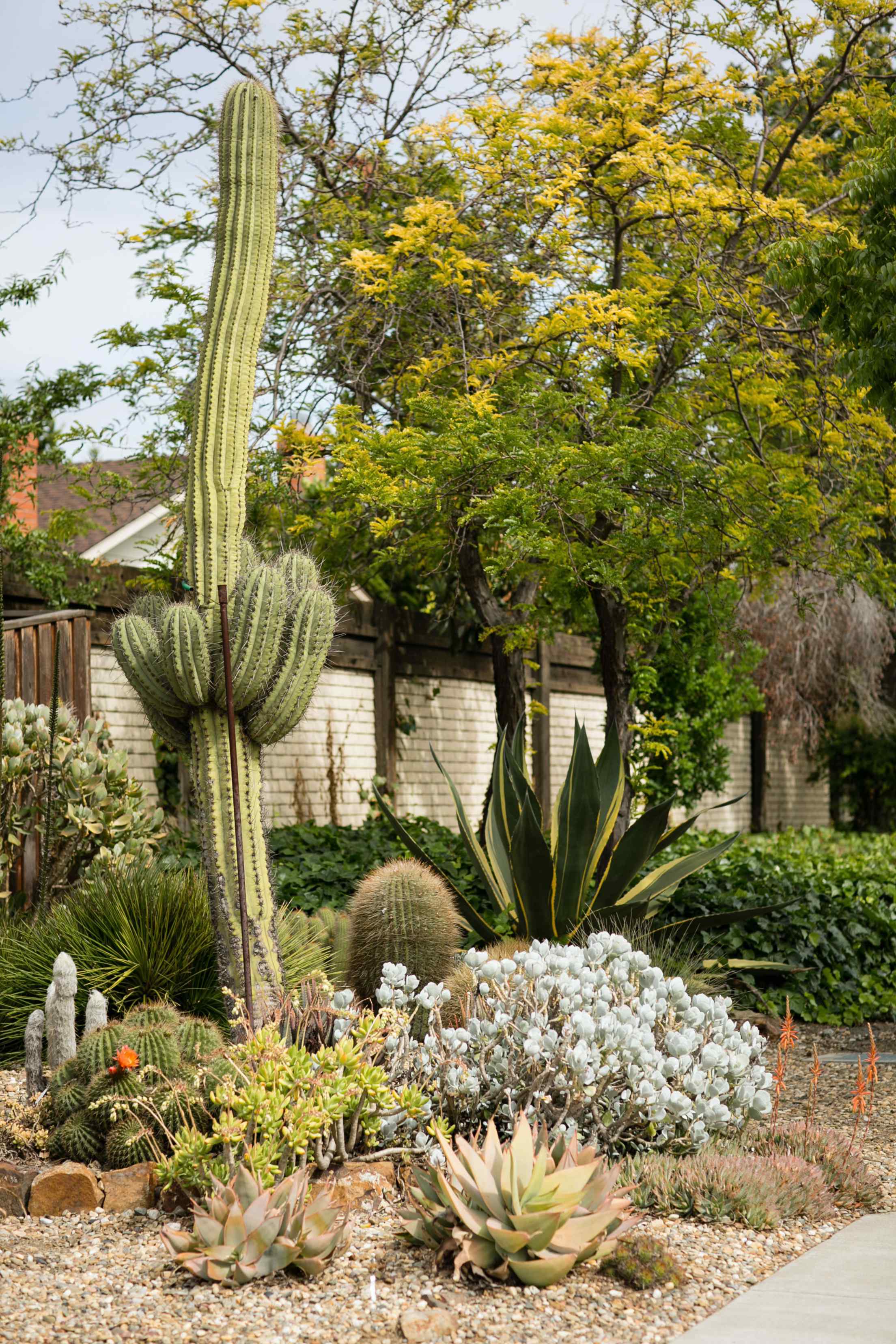 The entrance to Ruth Bancroft Garden in Walnut Creek, California.