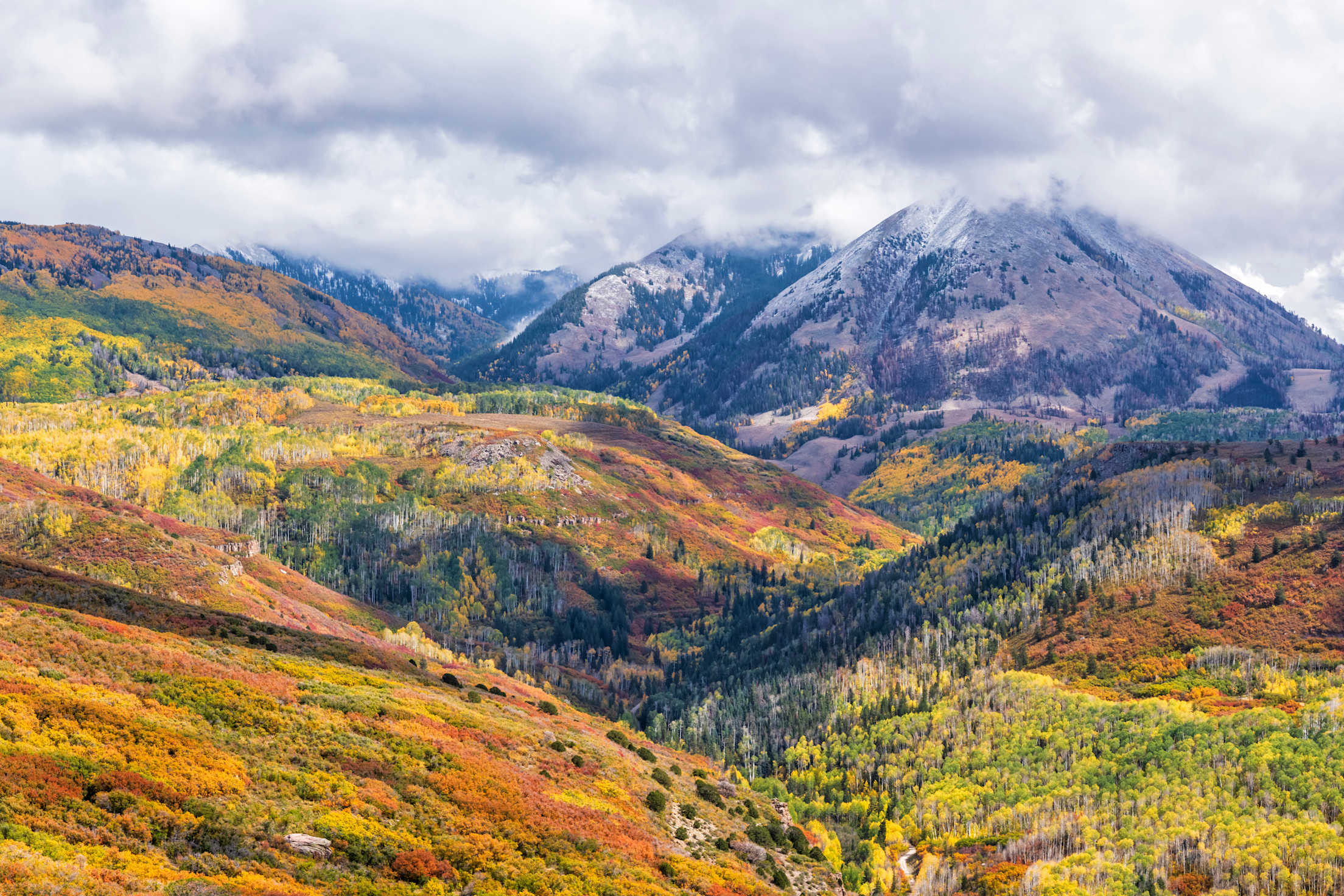 Fall colors on Haystack Mountain in Manti-La Sal National Forest.