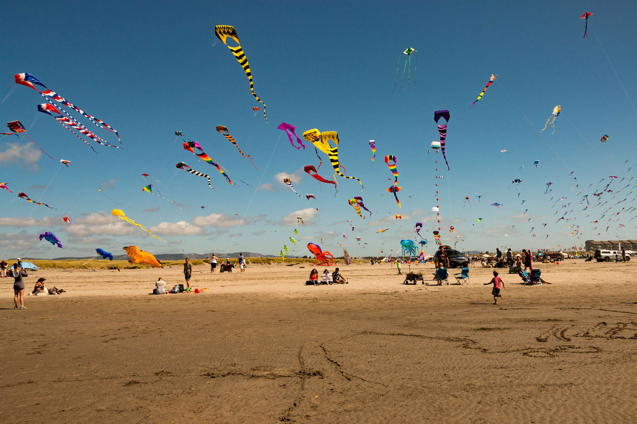 picture of the kites flying during the Washington State International Kite Festival in Long Beach, Washington