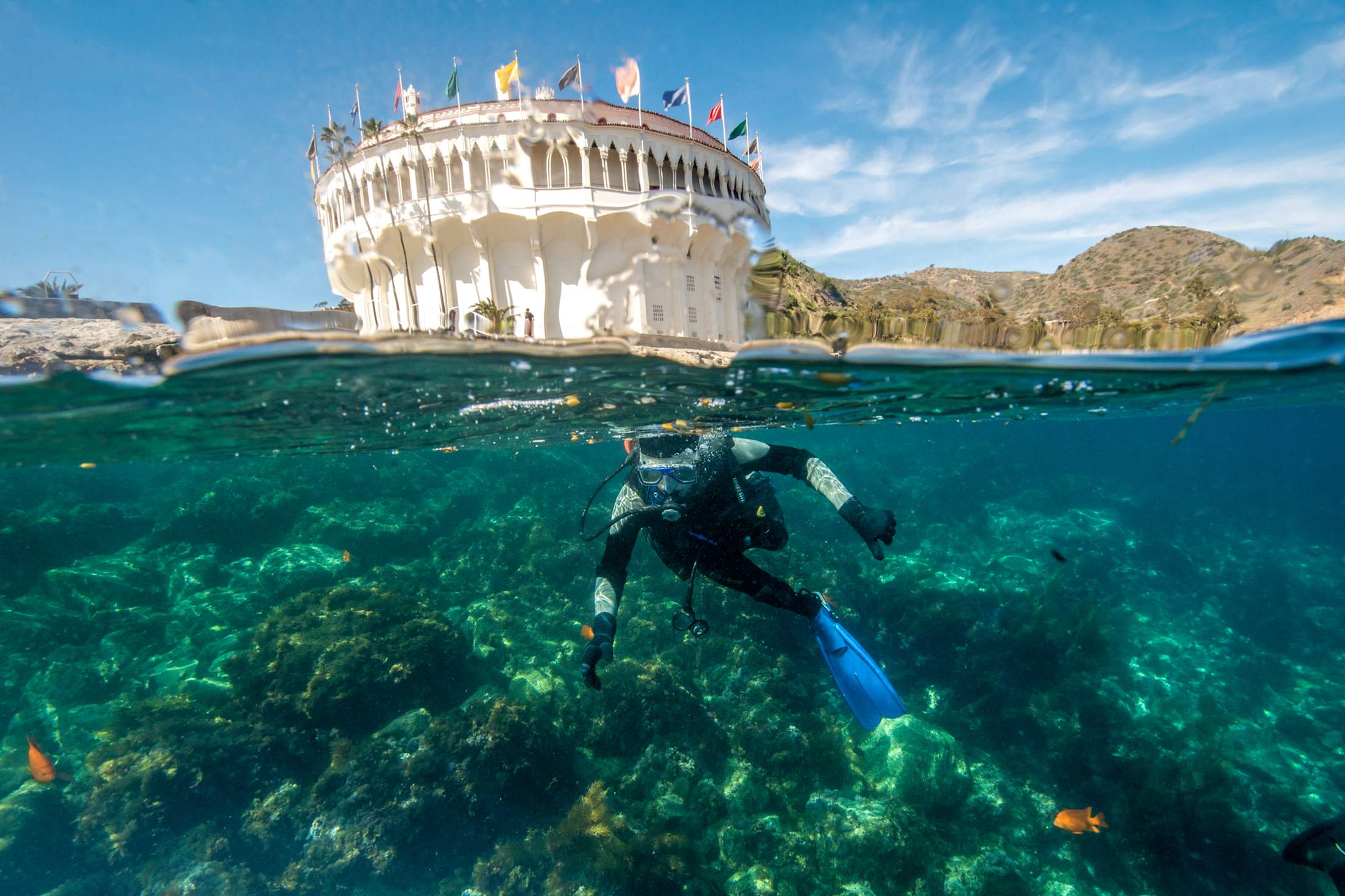 A scuba diver explores the Casino Point Underwater Park at Catalina Island on a sunny day.