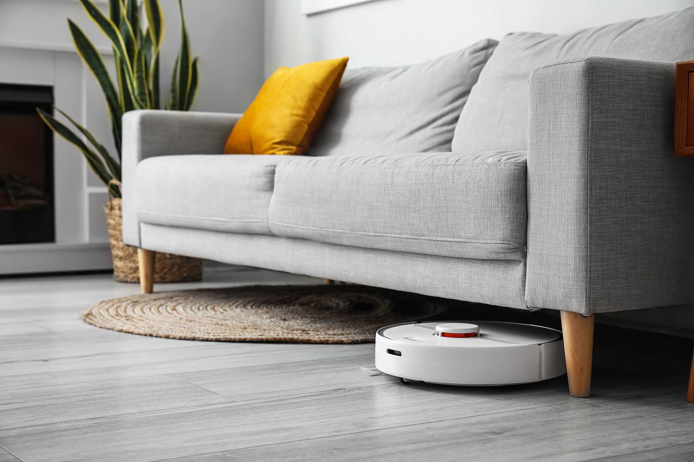 A smart robot vacuum cleans under a gray sofa.