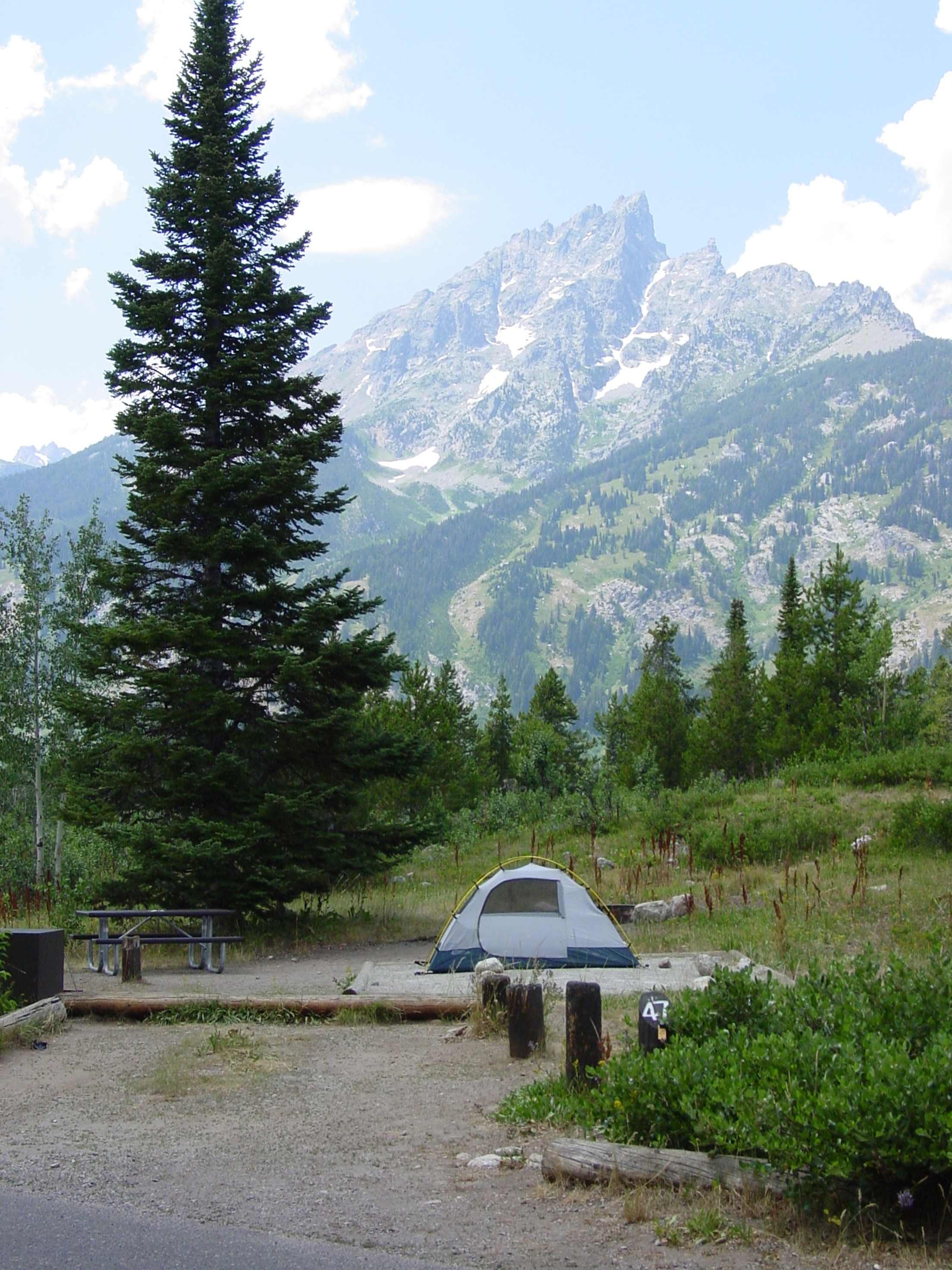 Jenny Lake Campground campsite number 47 with views of the Grand Teton mountains in the background.