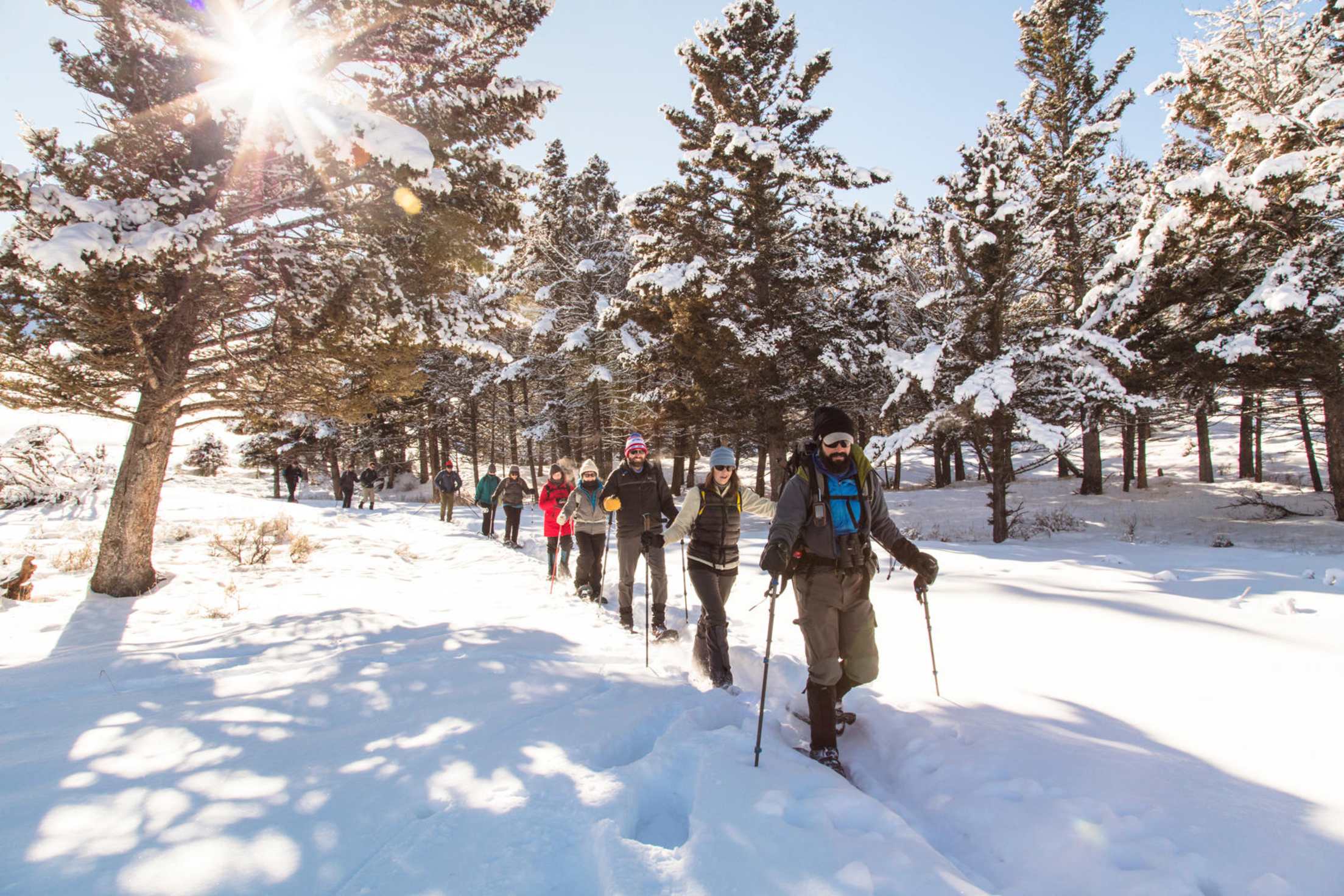 A ranger leads a snowshoe hike on the Hellroaring Trail in Yellowstone National Park.
