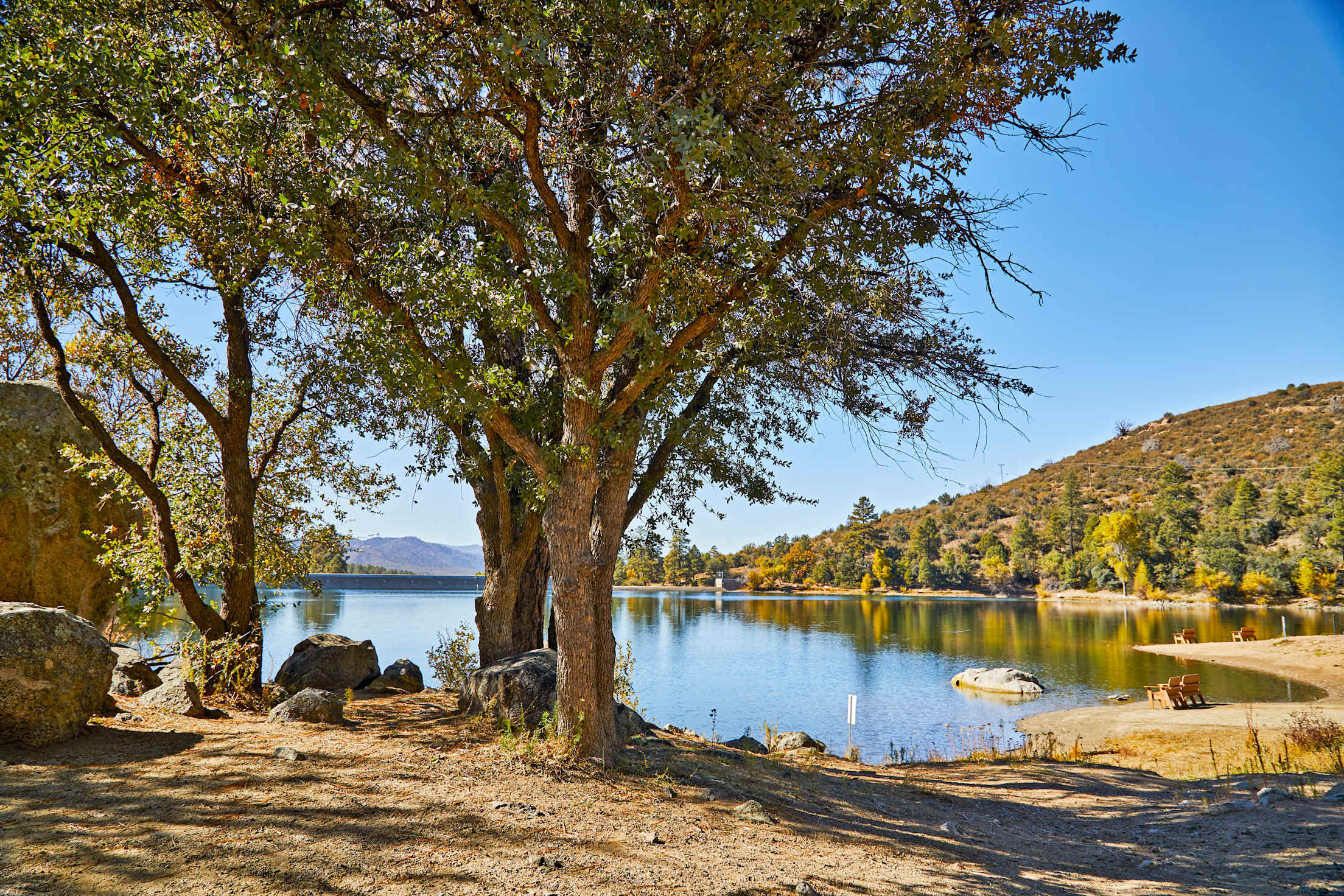 Trees grow on the shore of Goldwater Lake in Prescott, Arizona.