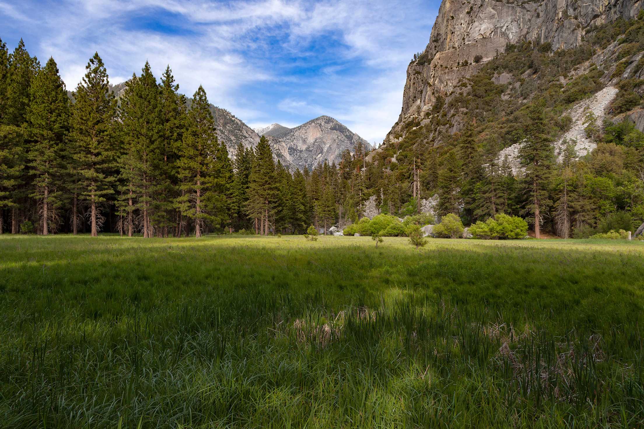 Zumwalt Meadow and Mount Gardiner in Kings Canyon National Park on a spring day.