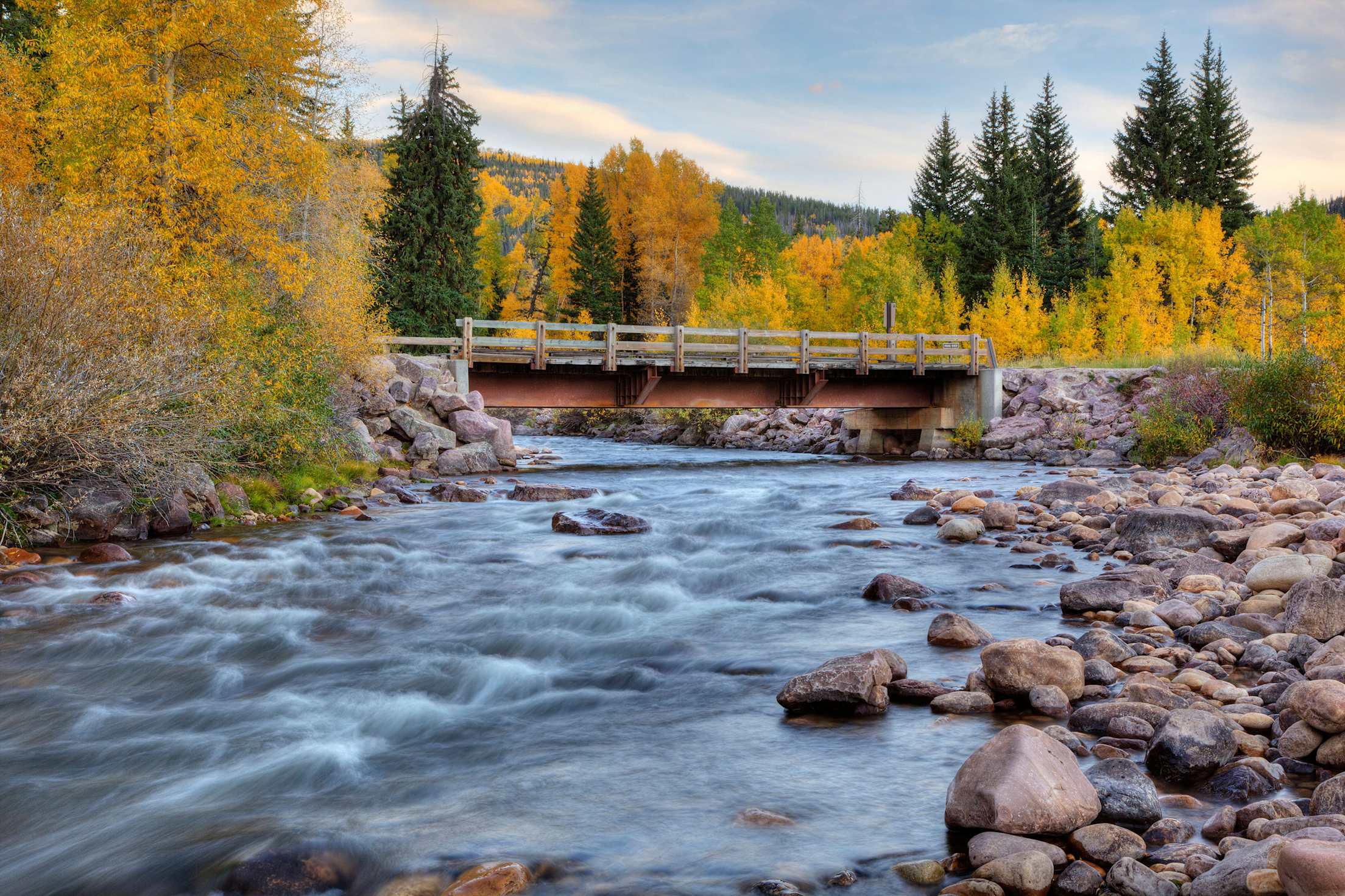 Aspen trees along the Provo River and the Mirror Lake Scenic Byway in Utah.